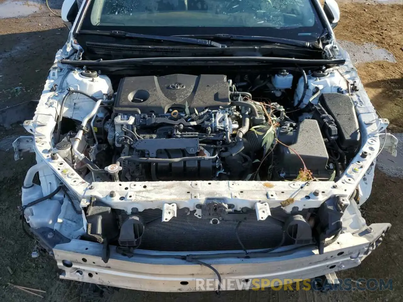 11 fotografías del automóvil dañado 4T1B11HK0KU803092 TOYOTA CAMRY 2019