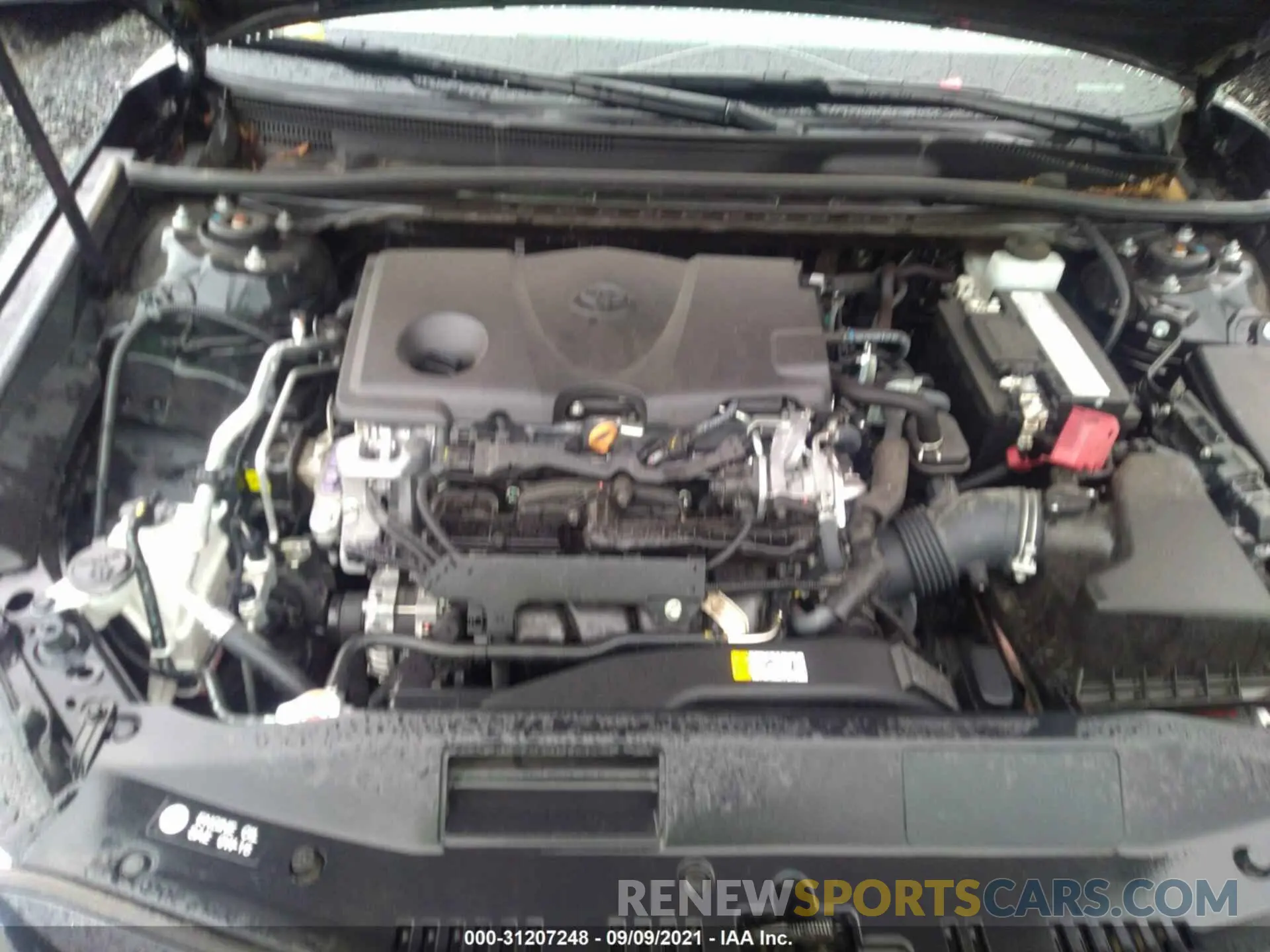 10 fotografías del automóvil dañado 4T1B11HK0KU804730 TOYOTA CAMRY 2019