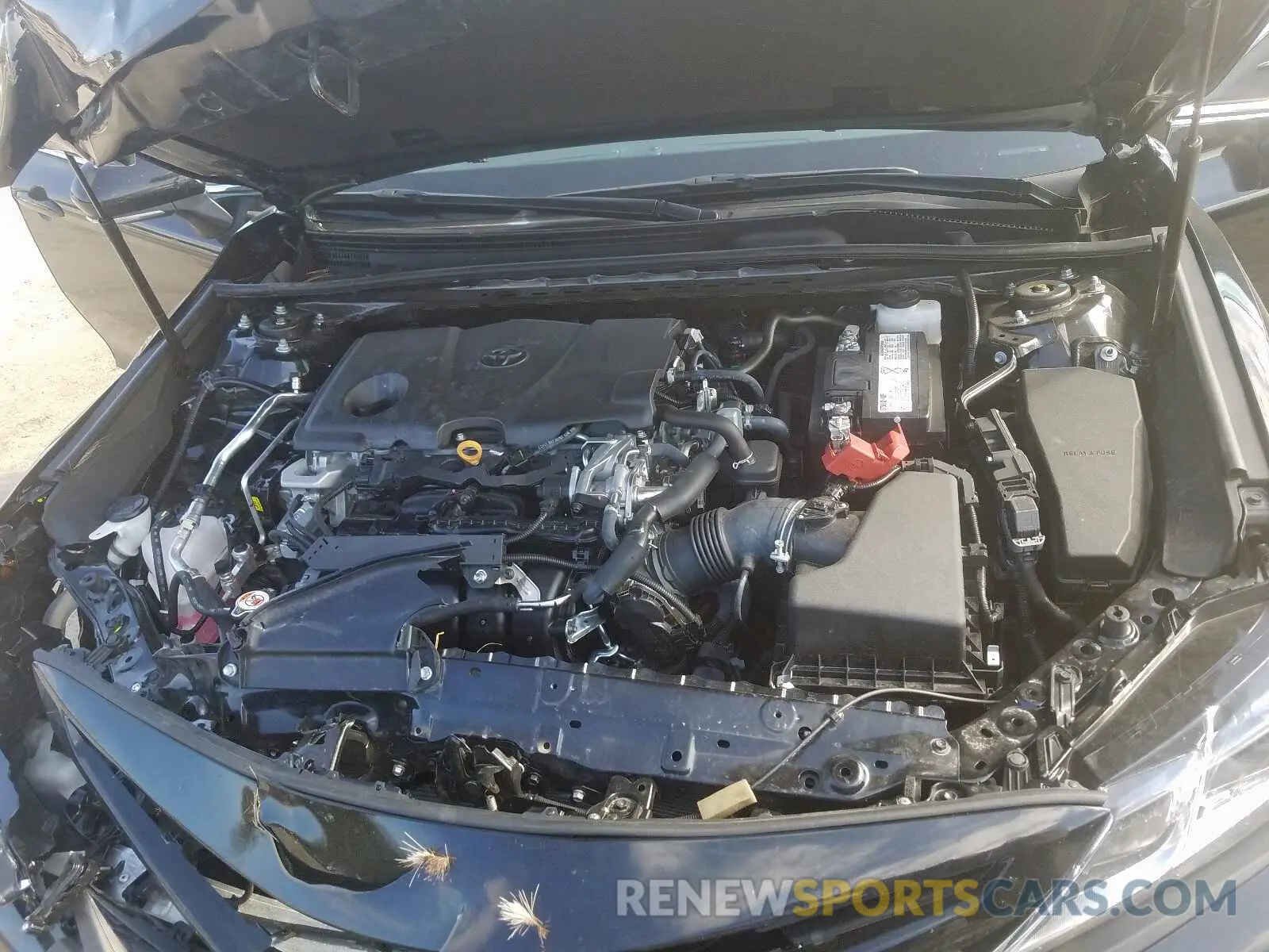 7 fotografías del automóvil dañado 4T1B11HK0KU808888 TOYOTA CAMRY 2019