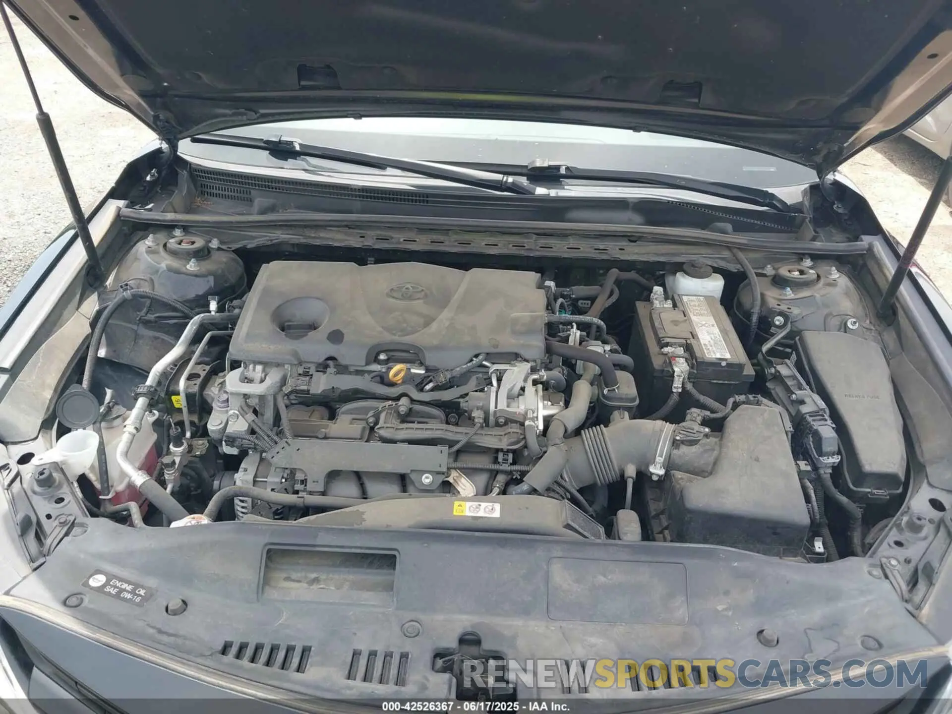 10 fotografías del automóvil dañado 4T1B11HK0KU809958 TOYOTA CAMRY 2019