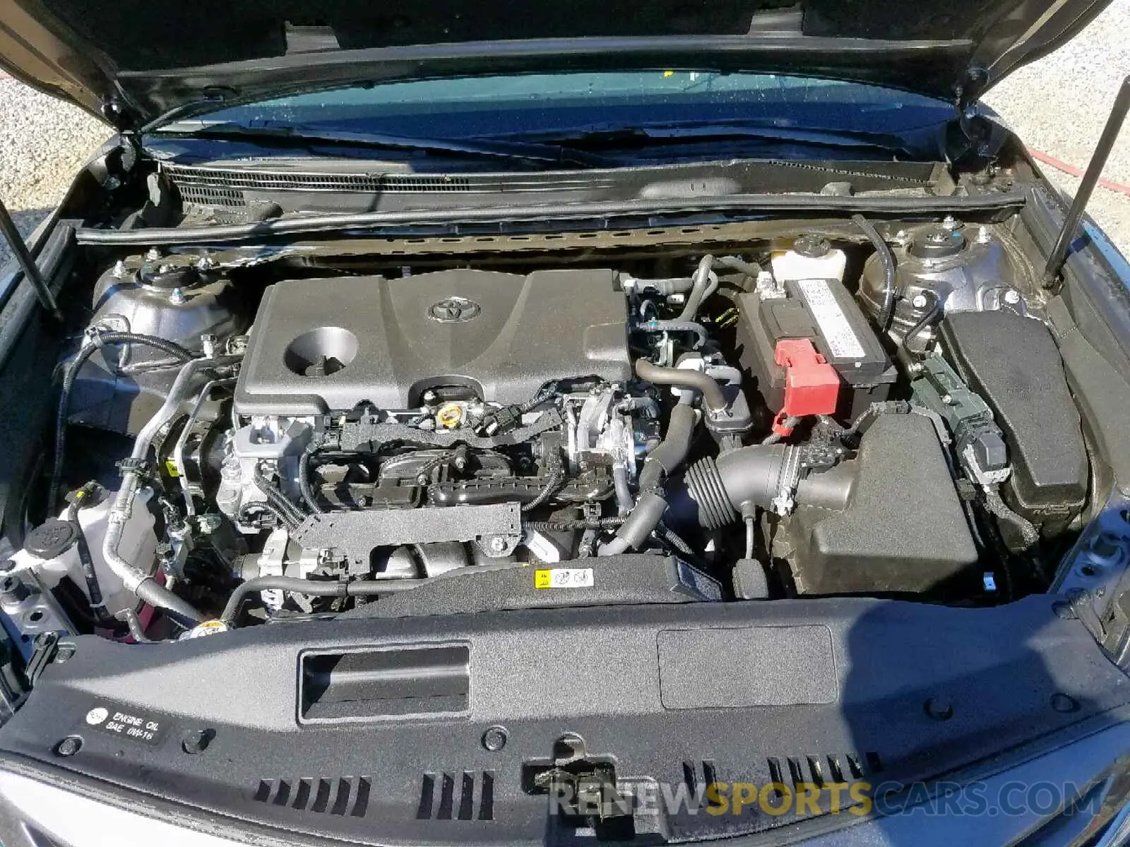 7 fotografías del automóvil dañado 4T1B11HK0KU810981 TOYOTA CAMRY 2019