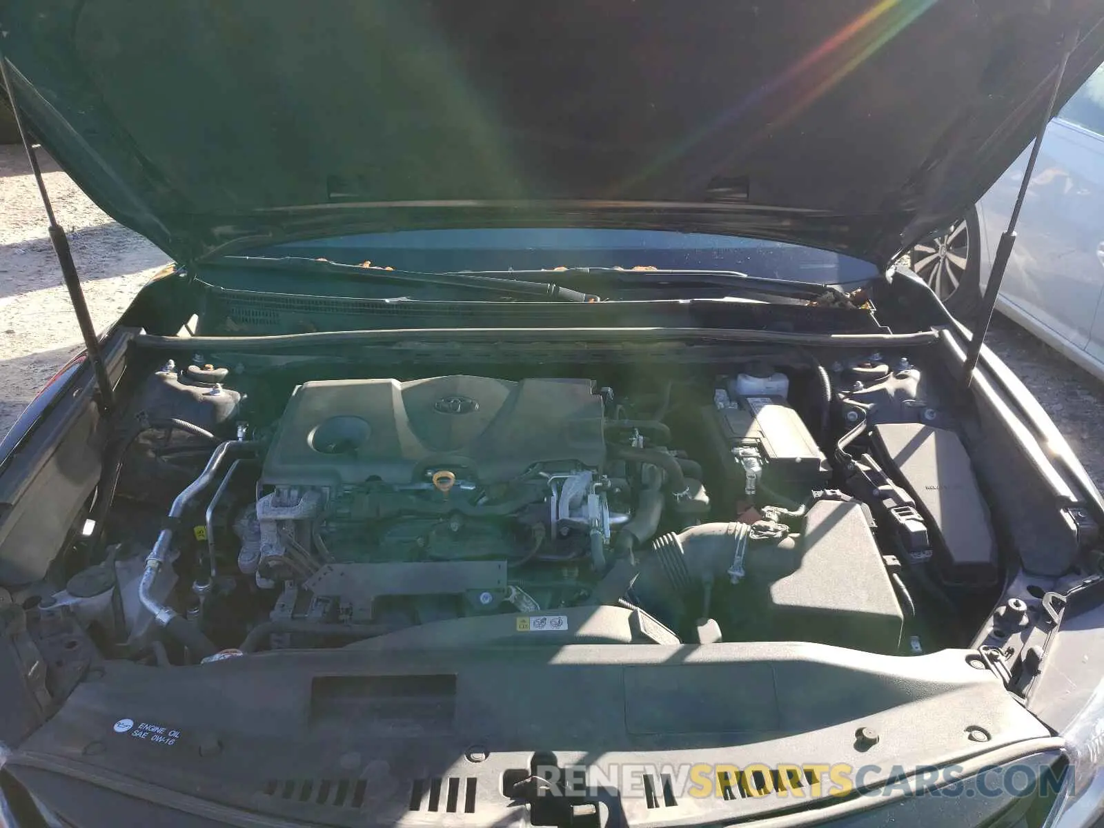 7 fotografías del automóvil dañado 4T1B11HK0KU818093 TOYOTA CAMRY 2019