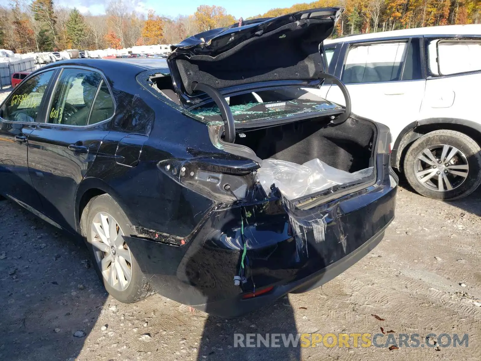 9 fotografías del automóvil dañado 4T1B11HK0KU818093 TOYOTA CAMRY 2019