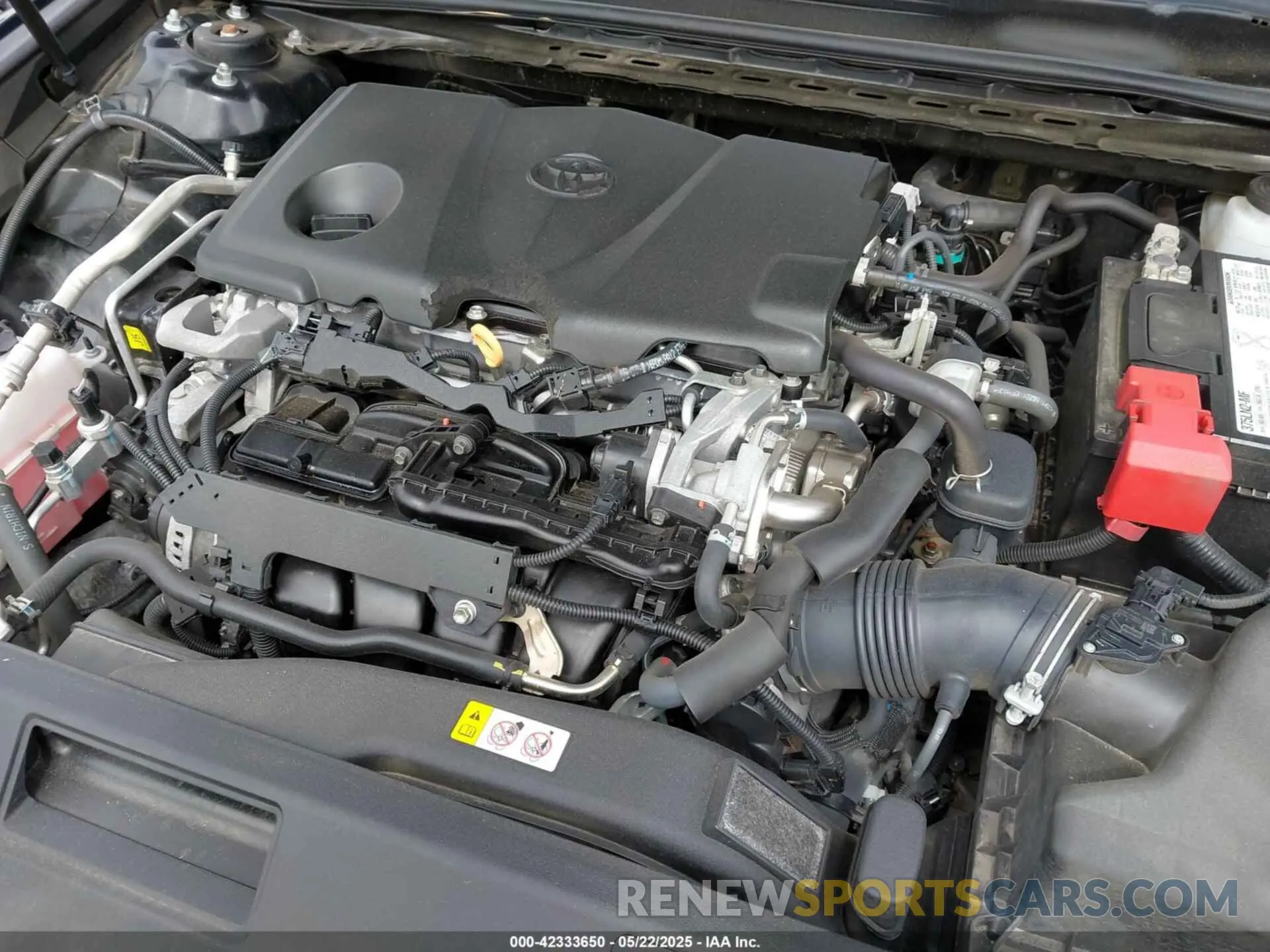 10 fotografías del automóvil dañado 4T1B11HK0KU821995 TOYOTA CAMRY 2019