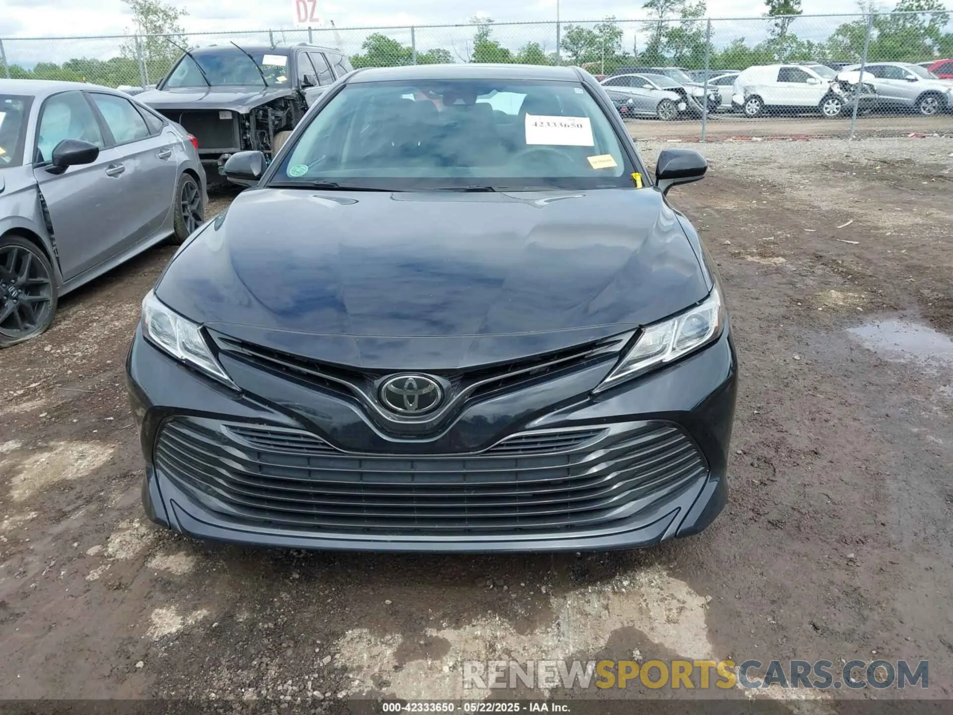 12 fotografías del automóvil dañado 4T1B11HK0KU821995 TOYOTA CAMRY 2019