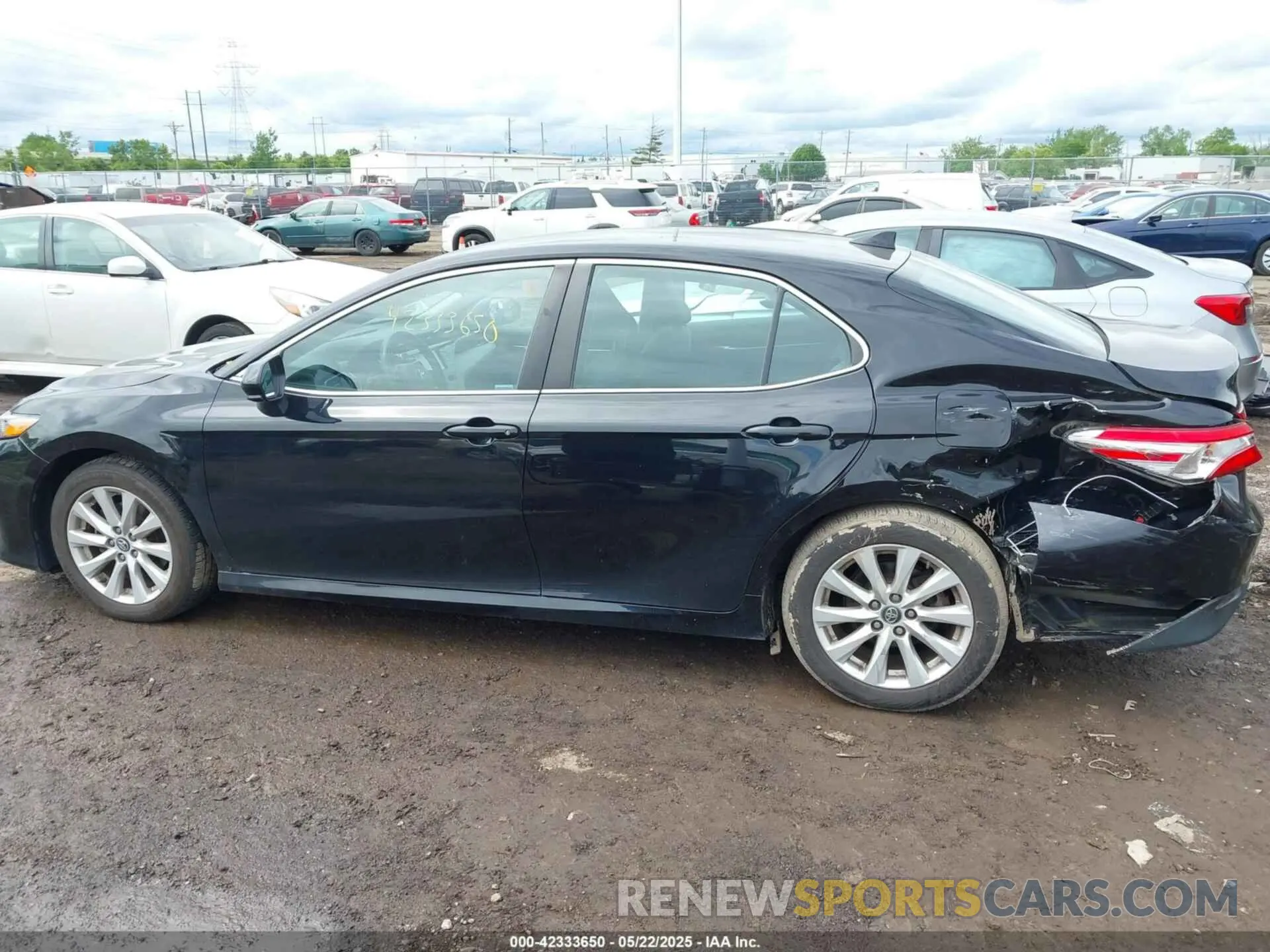 14 fotografías del automóvil dañado 4T1B11HK0KU821995 TOYOTA CAMRY 2019