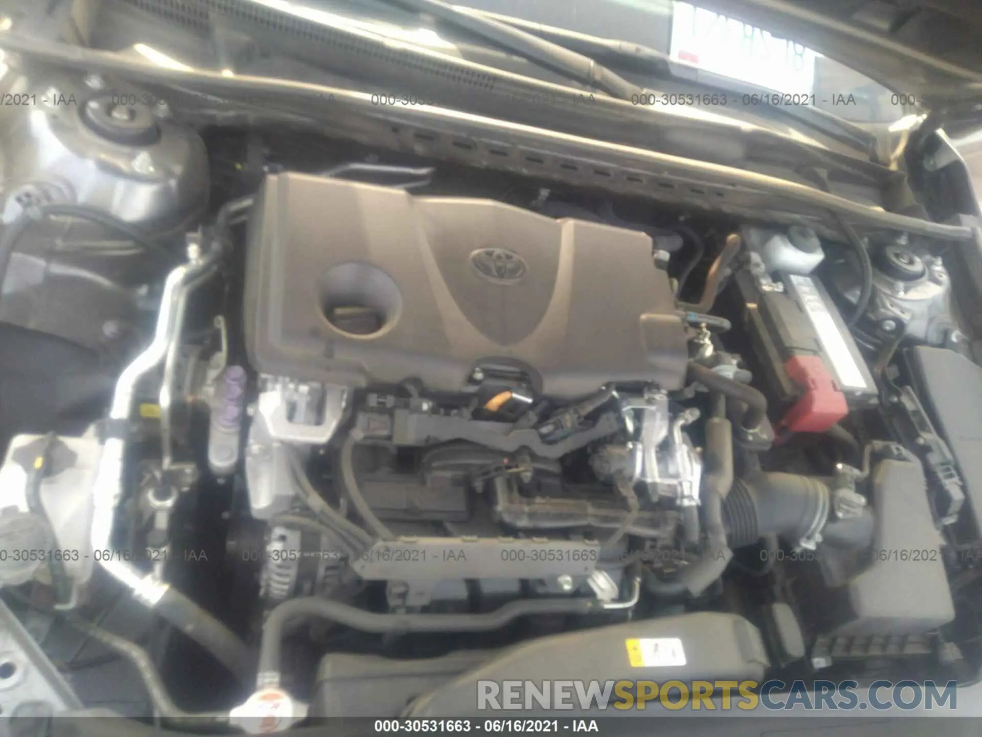 10 fotografías del automóvil dañado 4T1B11HK0KU837873 TOYOTA CAMRY 2019