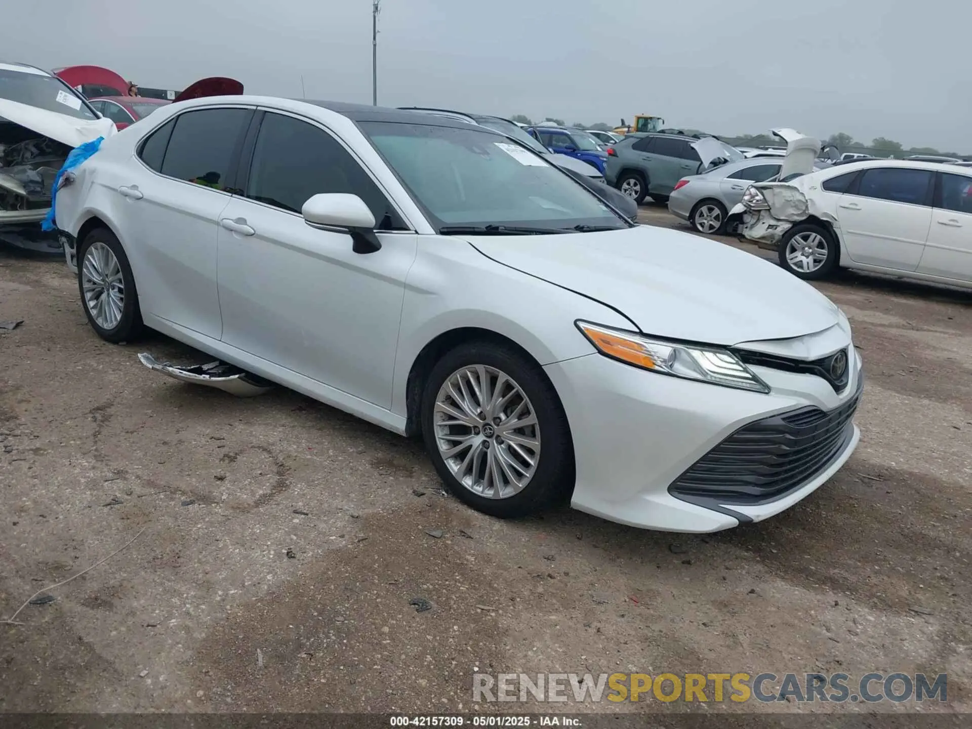 1 fotografías del automóvil dañado 4T1B11HK0KU841129 TOYOTA CAMRY 2019