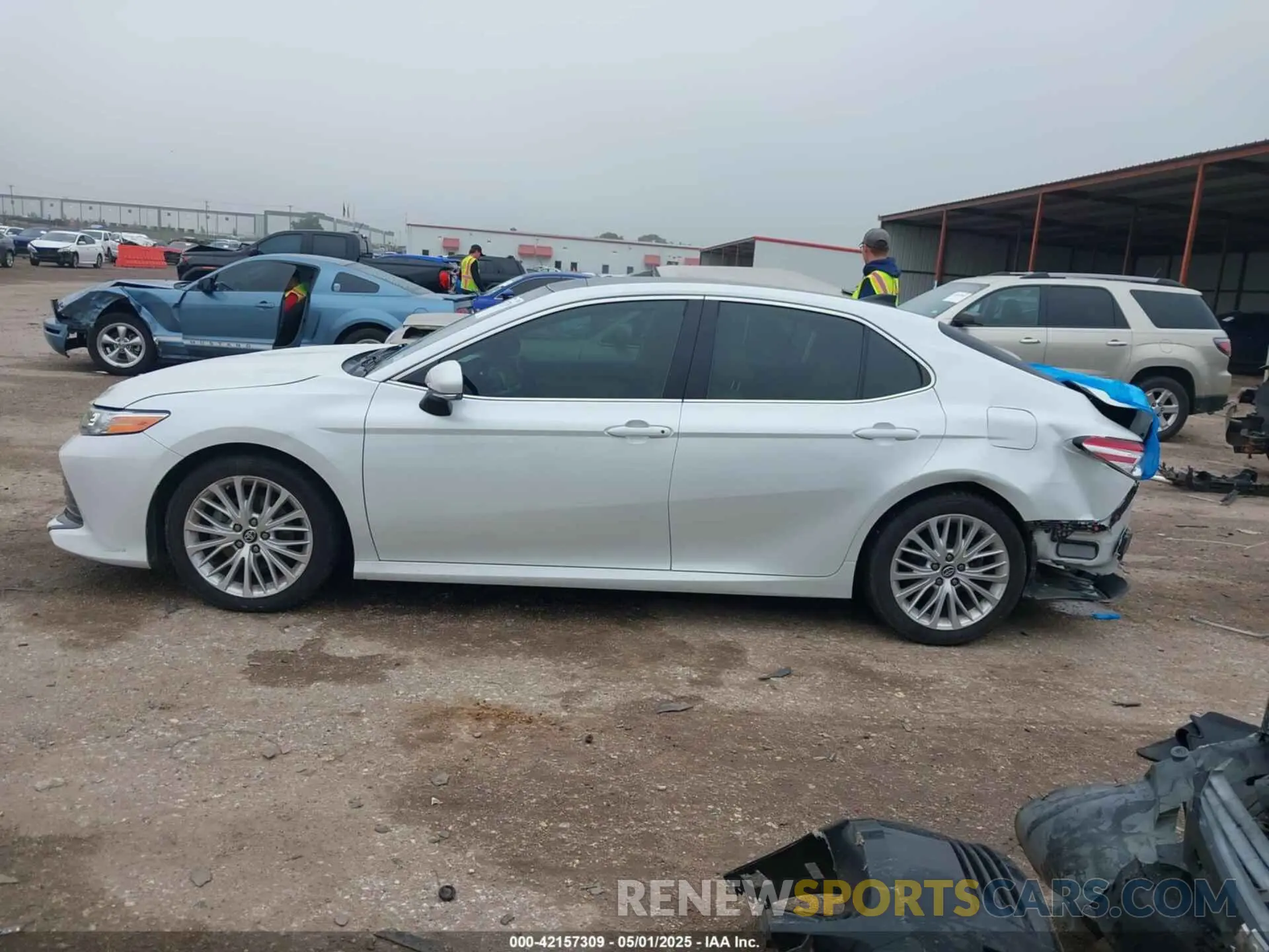 14 fotografías del automóvil dañado 4T1B11HK0KU841129 TOYOTA CAMRY 2019