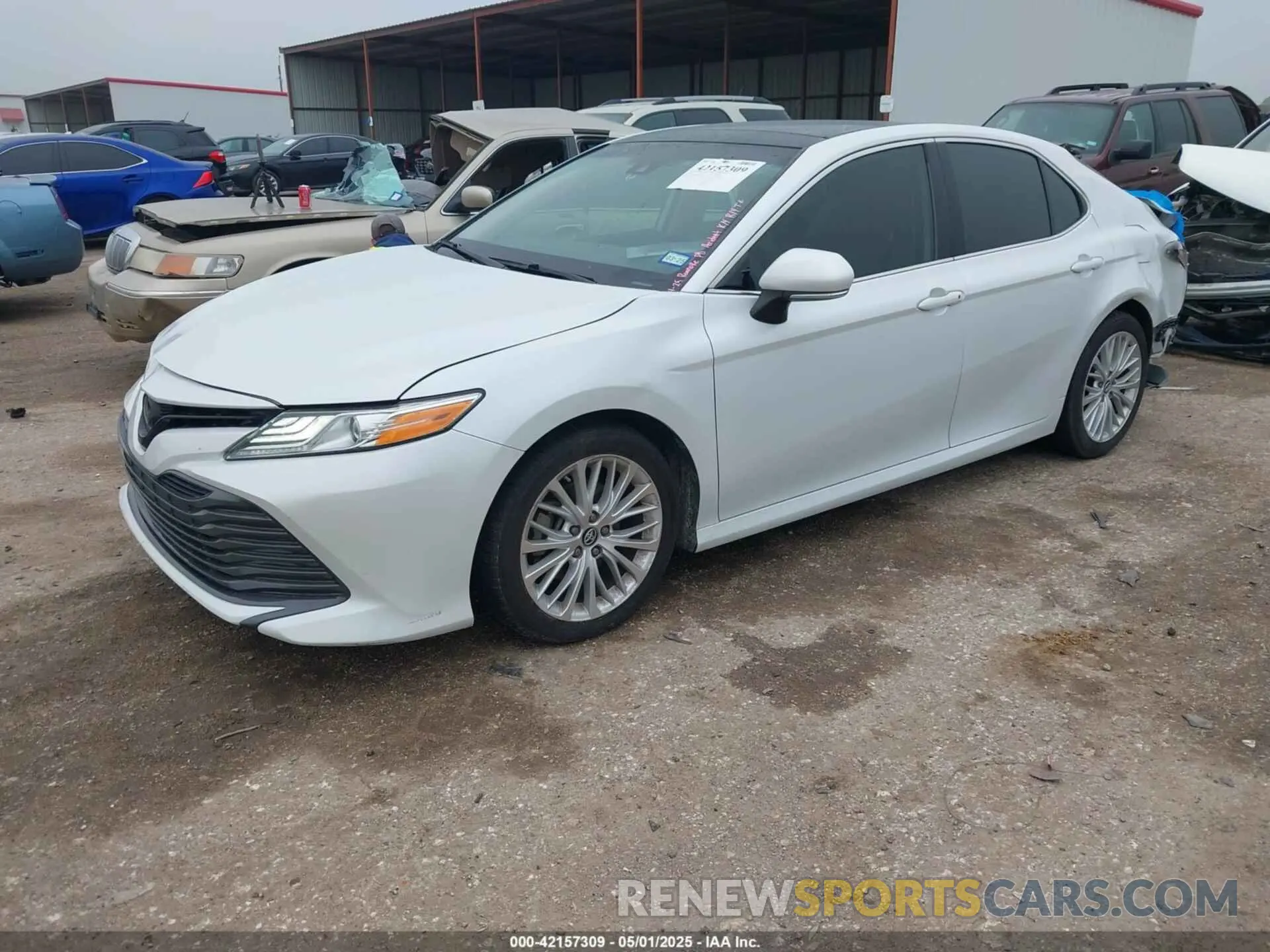 2 fotografías del automóvil dañado 4T1B11HK0KU841129 TOYOTA CAMRY 2019