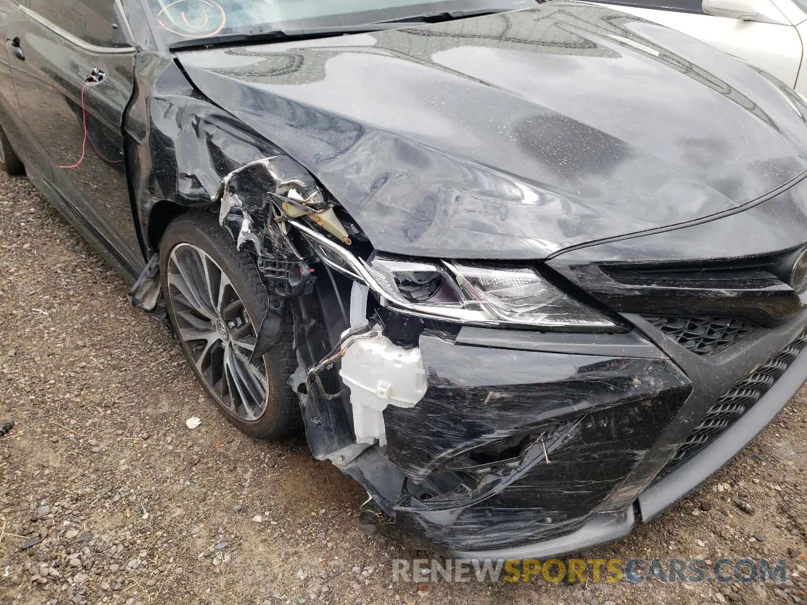 9 fotografías del automóvil dañado 4T1B11HK0KU842247 TOYOTA CAMRY 2019
