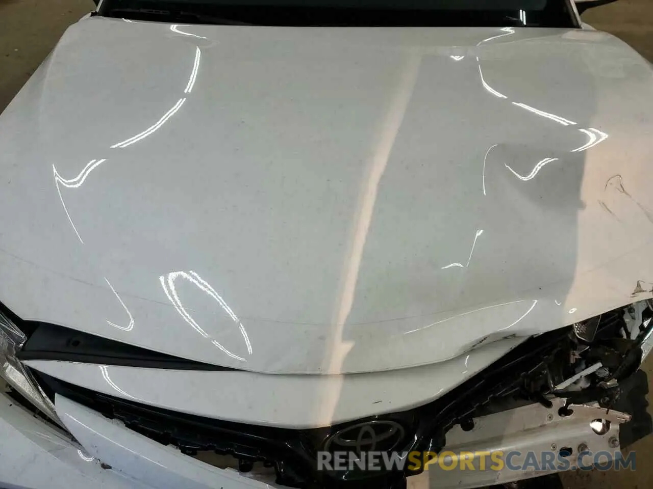 11 fotografías del automóvil dañado 4T1B11HK0KU845004 TOYOTA CAMRY 2019