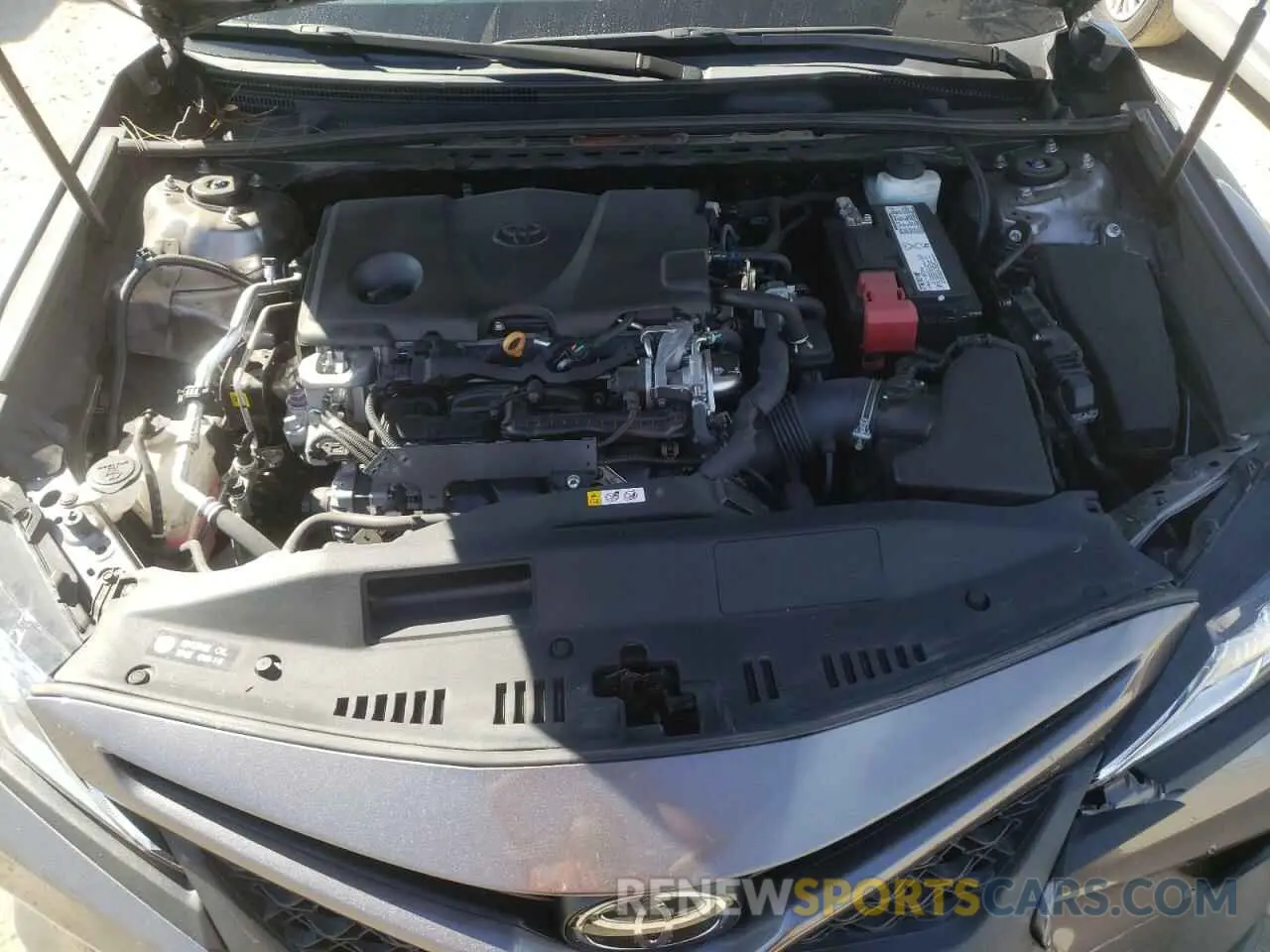 7 fotografías del automóvil dañado 4T1B11HK1KU163104 TOYOTA CAMRY 2019