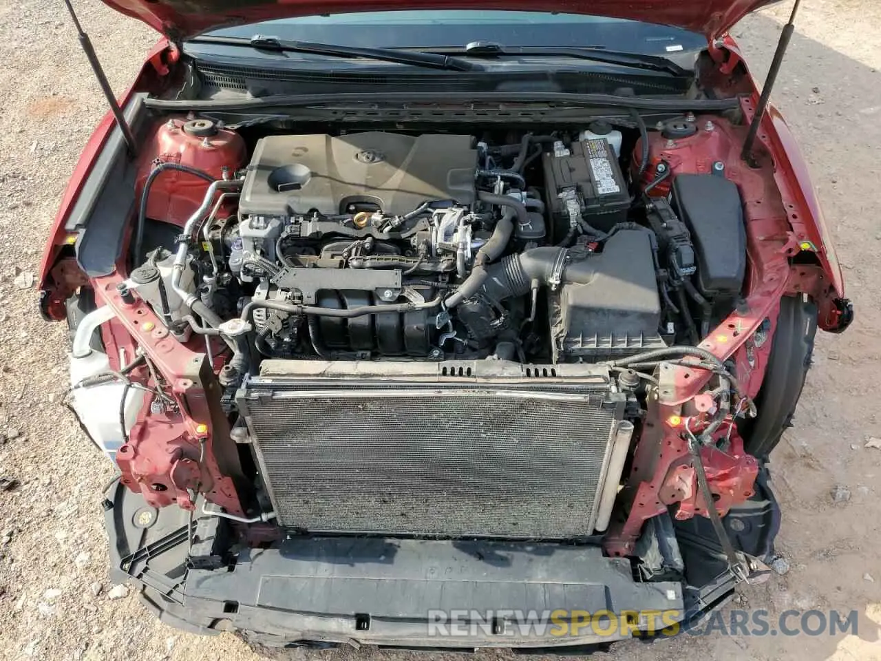 11 fotografías del automóvil dañado 4T1B11HK1KU173891 TOYOTA CAMRY 2019