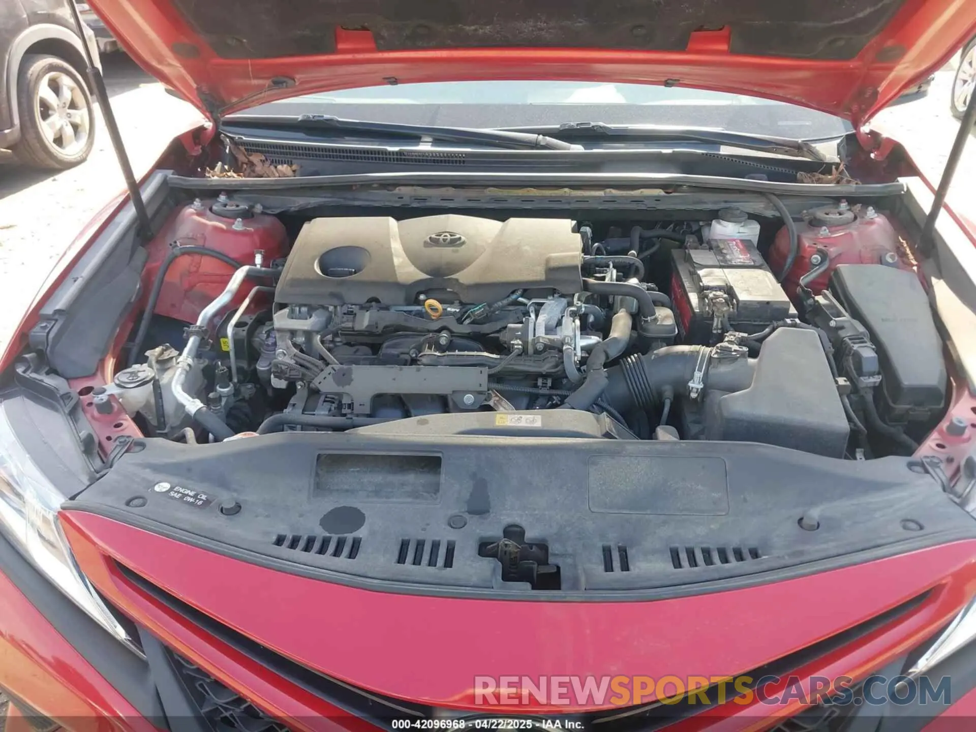 10 fotografías del automóvil dañado 4T1B11HK1KU192117 TOYOTA CAMRY 2019