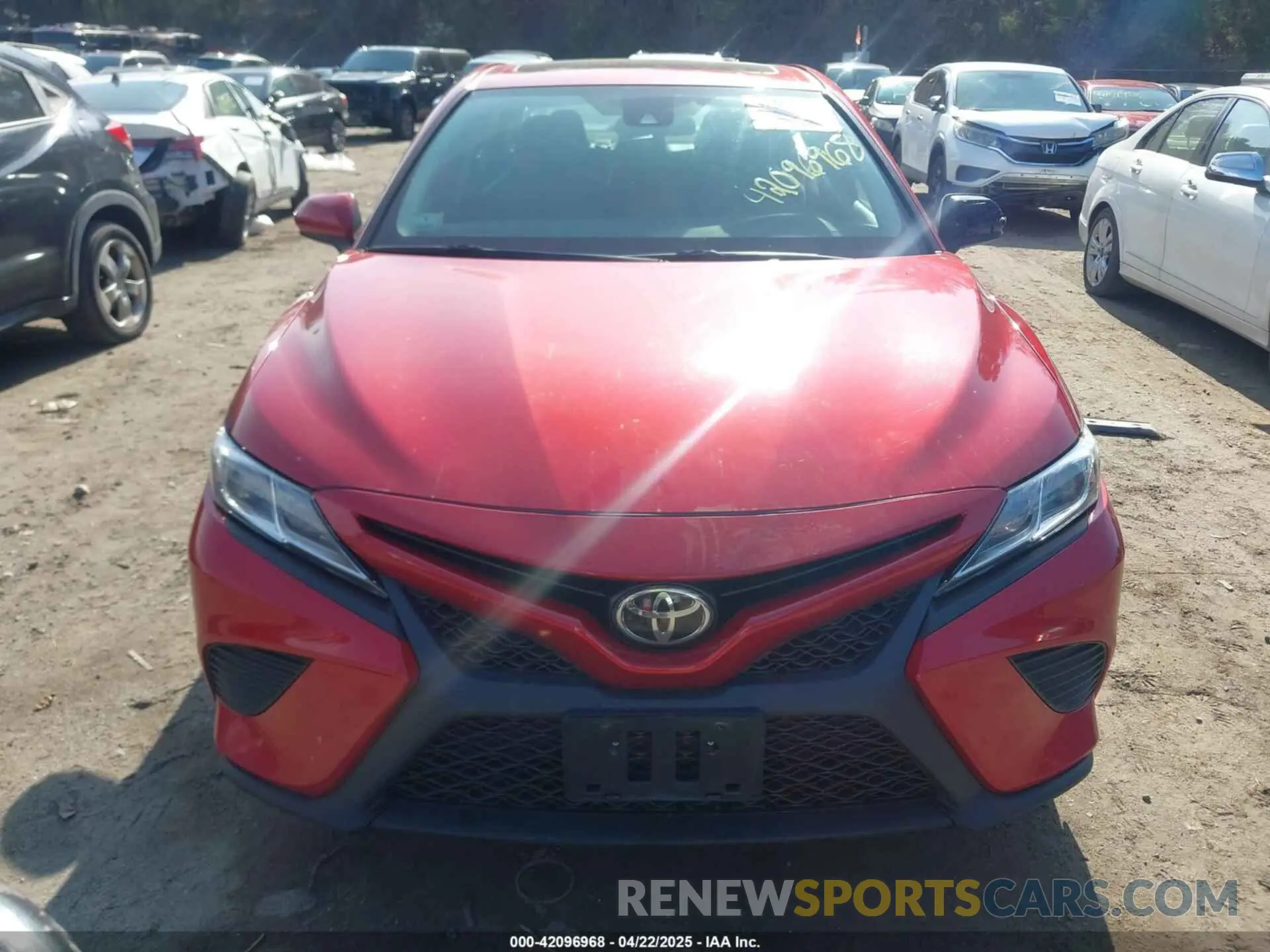 12 fotografías del automóvil dañado 4T1B11HK1KU192117 TOYOTA CAMRY 2019
