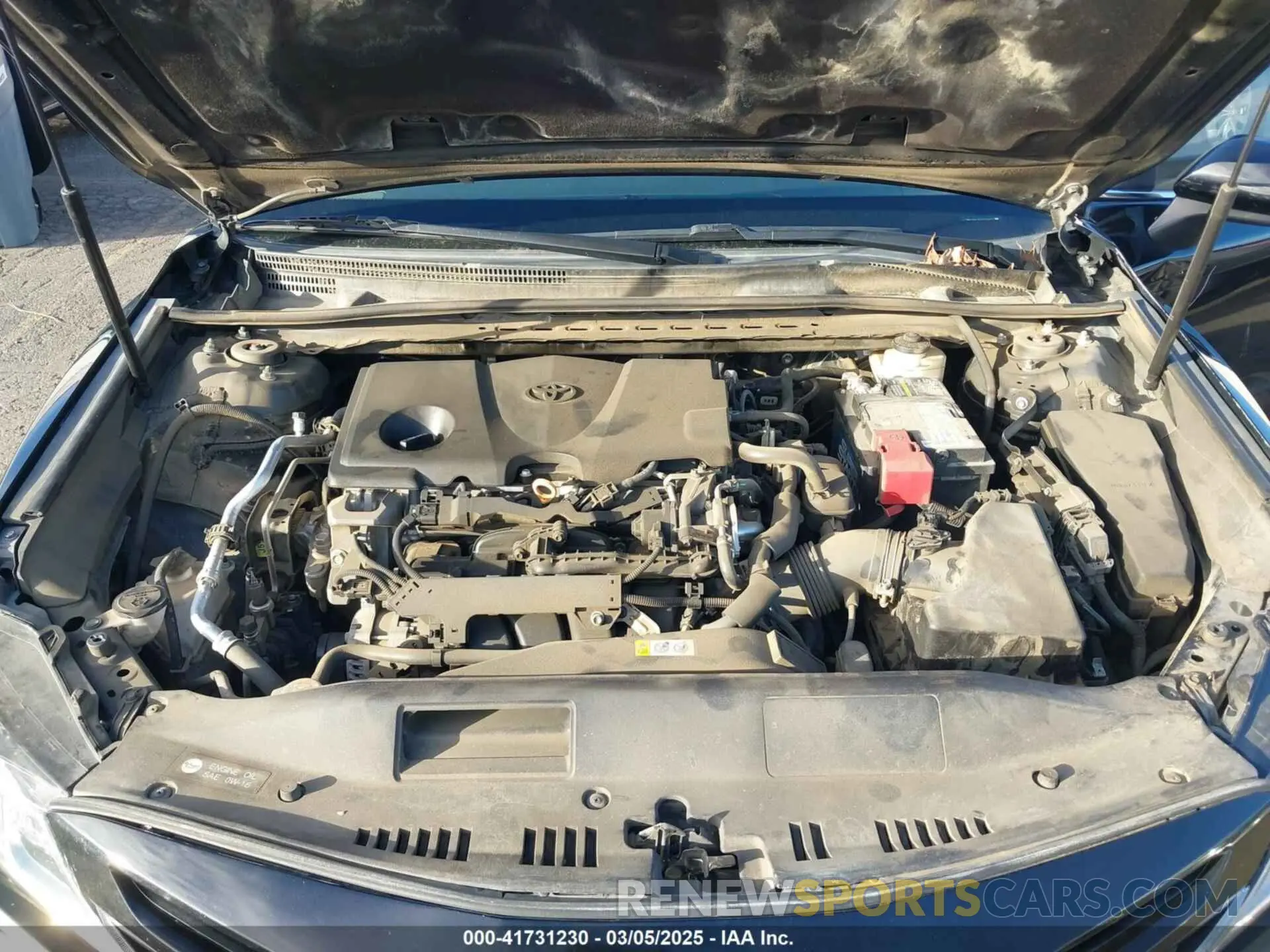 10 fotografías del automóvil dañado 4T1B11HK1KU201897 TOYOTA CAMRY 2019