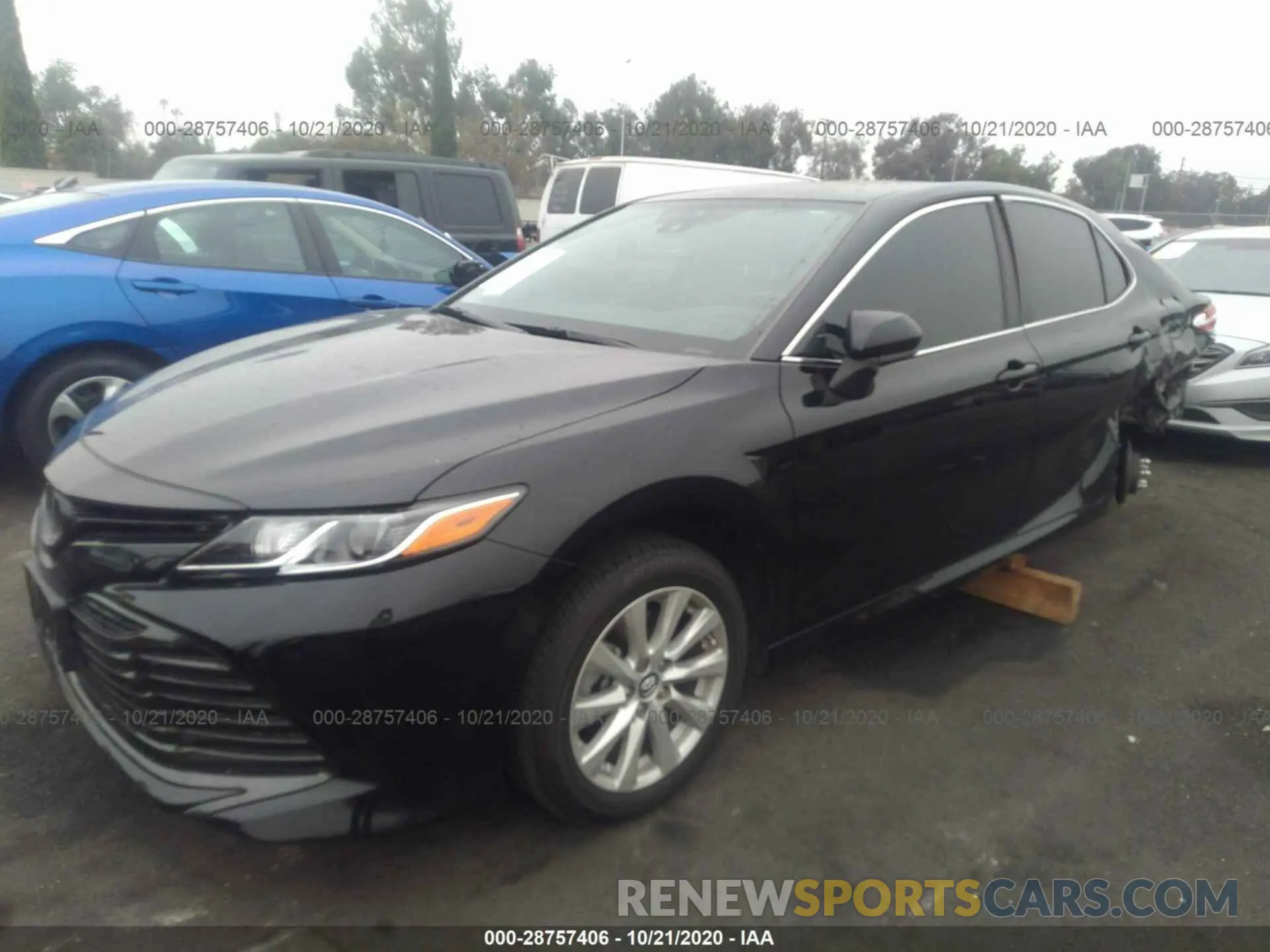 2 fotografías del automóvil dañado 4T1B11HK1KU203519 TOYOTA CAMRY 2019