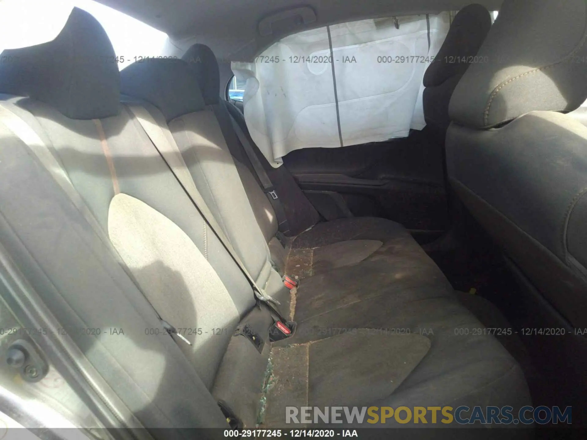 8 fotografías del automóvil dañado 4T1B11HK1KU204640 TOYOTA CAMRY 2019