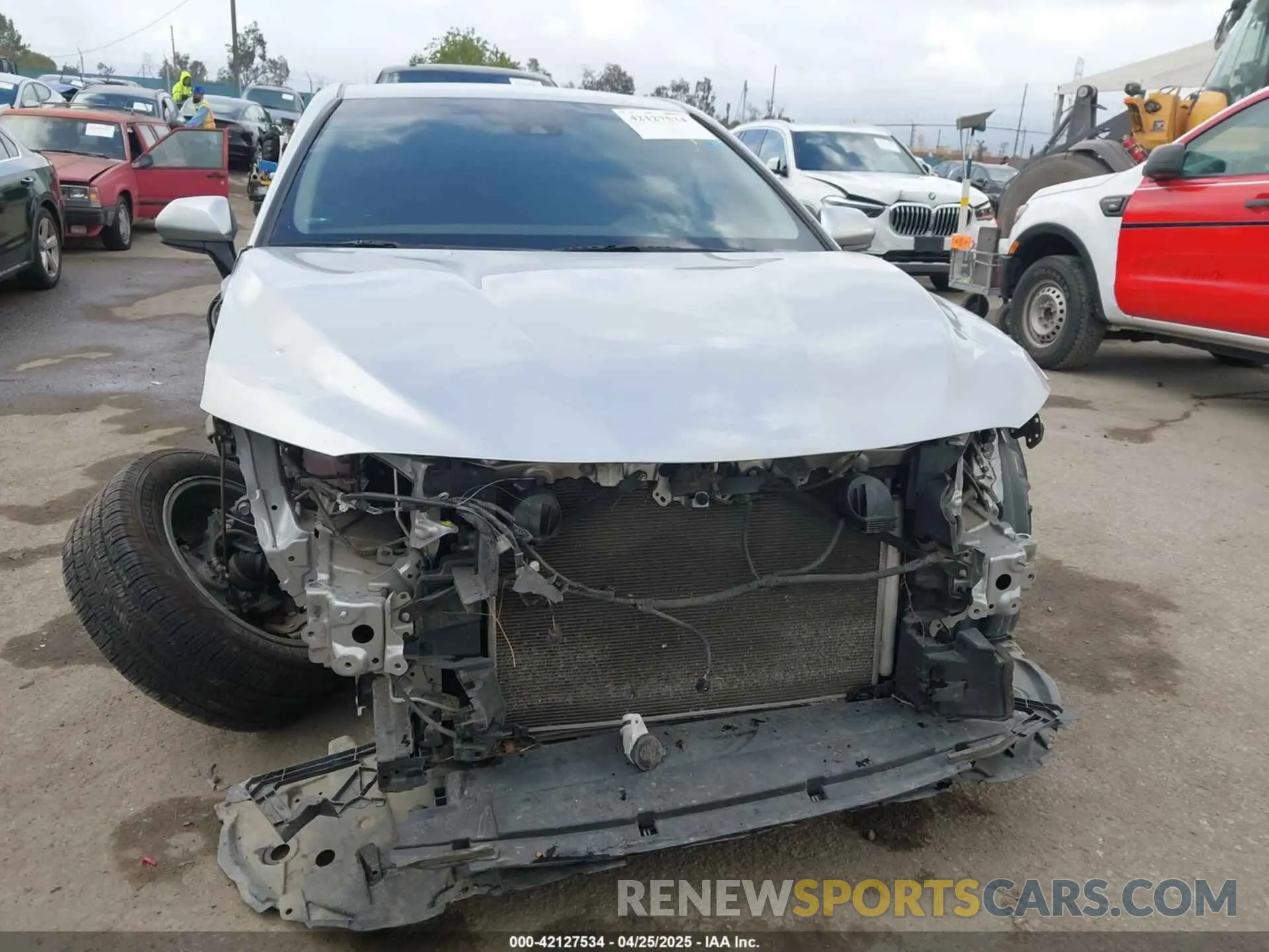 13 fotografías del automóvil dañado 4T1B11HK1KU205545 TOYOTA CAMRY 2019