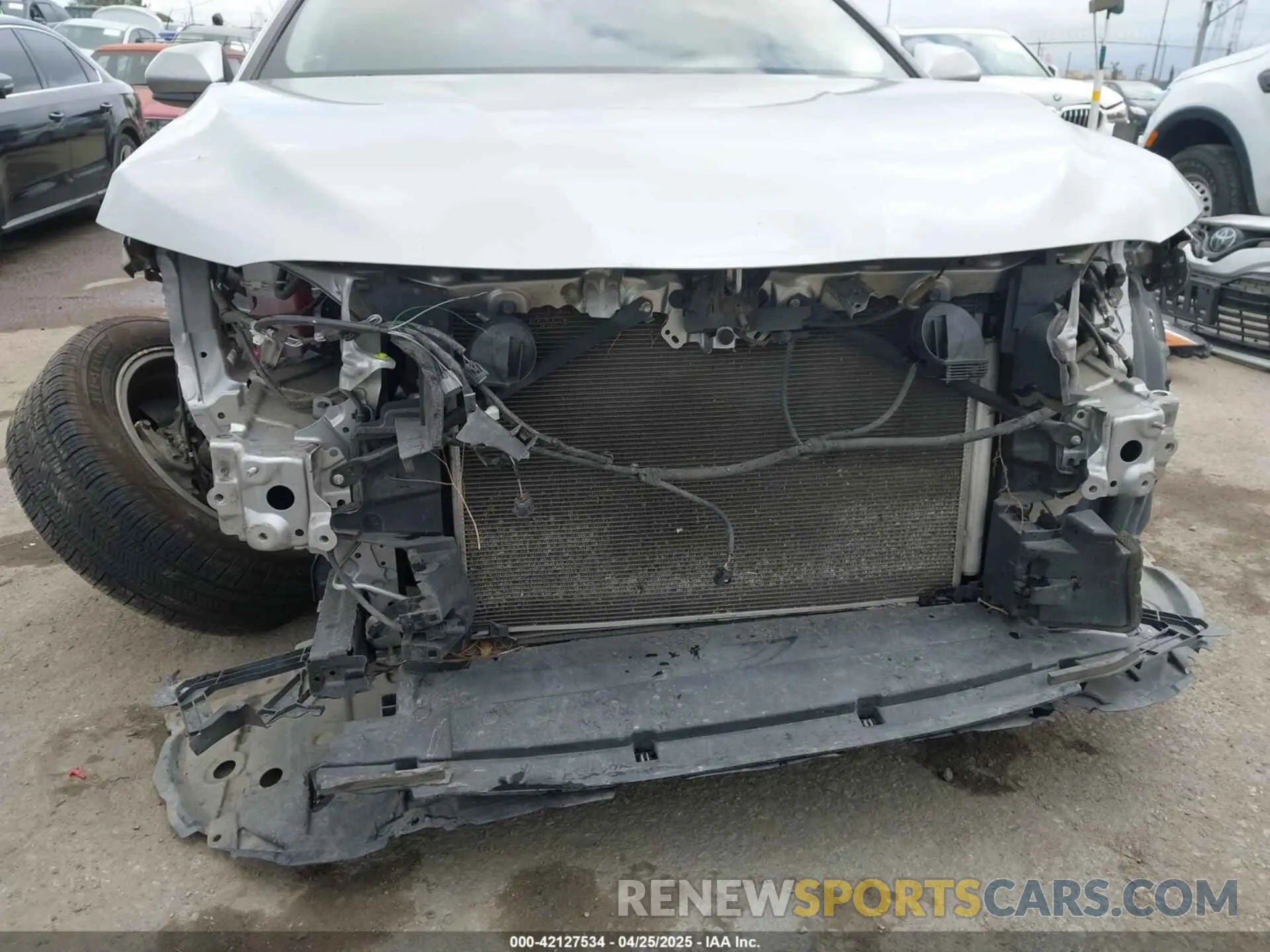 6 fotografías del automóvil dañado 4T1B11HK1KU205545 TOYOTA CAMRY 2019