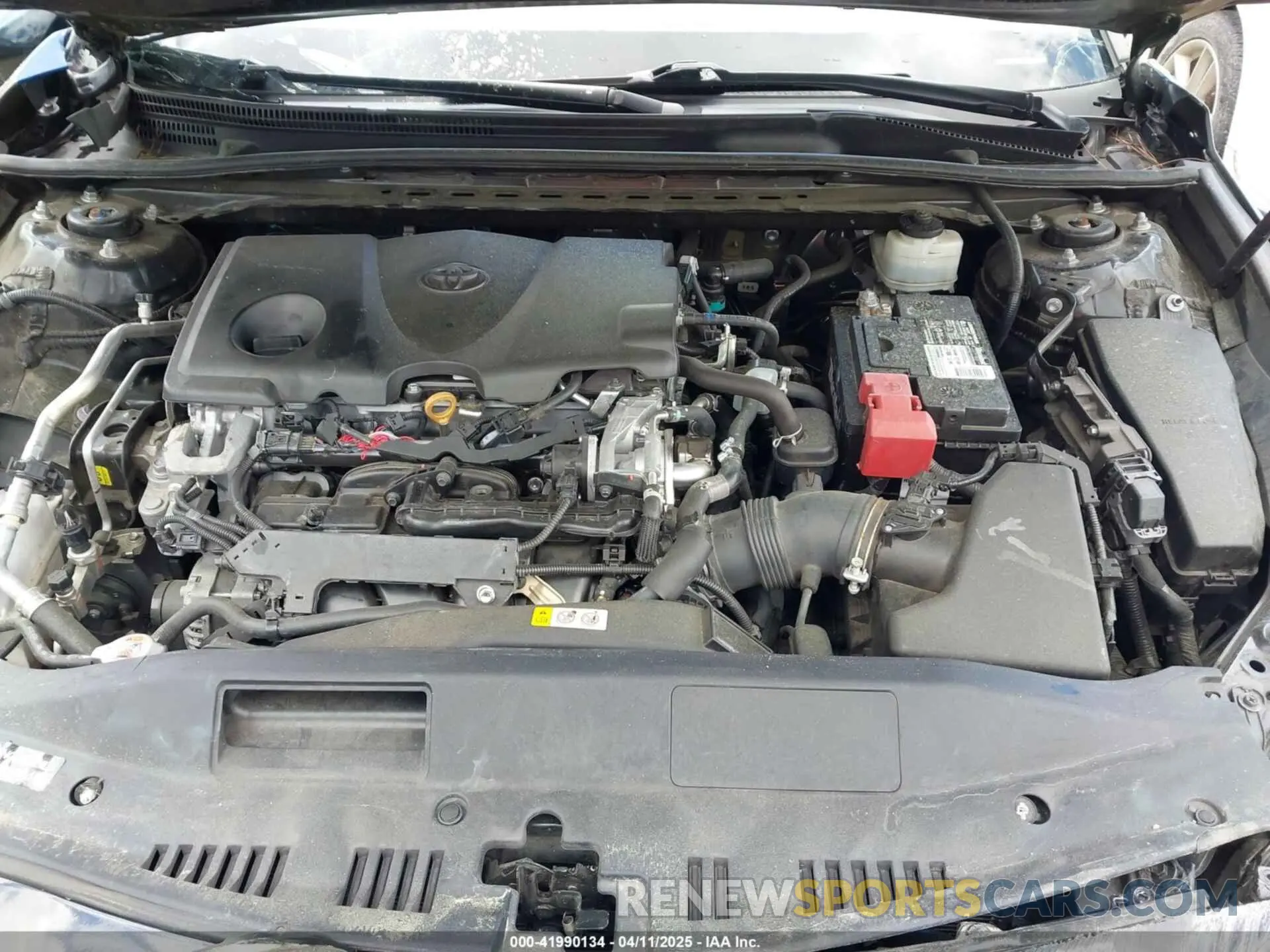 10 fotografías del automóvil dañado 4T1B11HK1KU209840 TOYOTA CAMRY 2019
