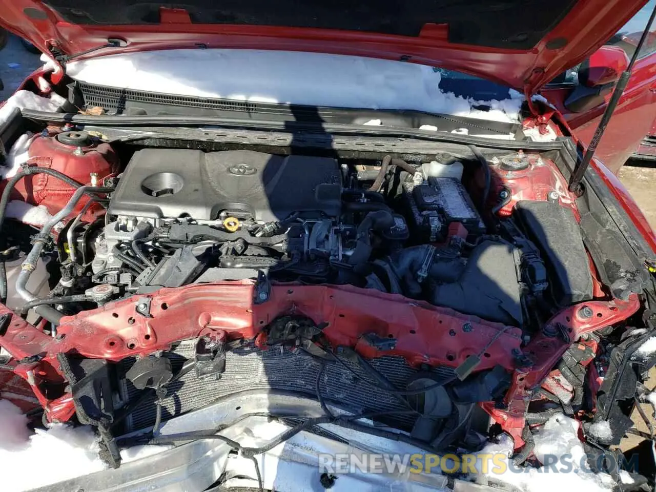 7 fotografías del automóvil dañado 4T1B11HK1KU210471 TOYOTA CAMRY 2019