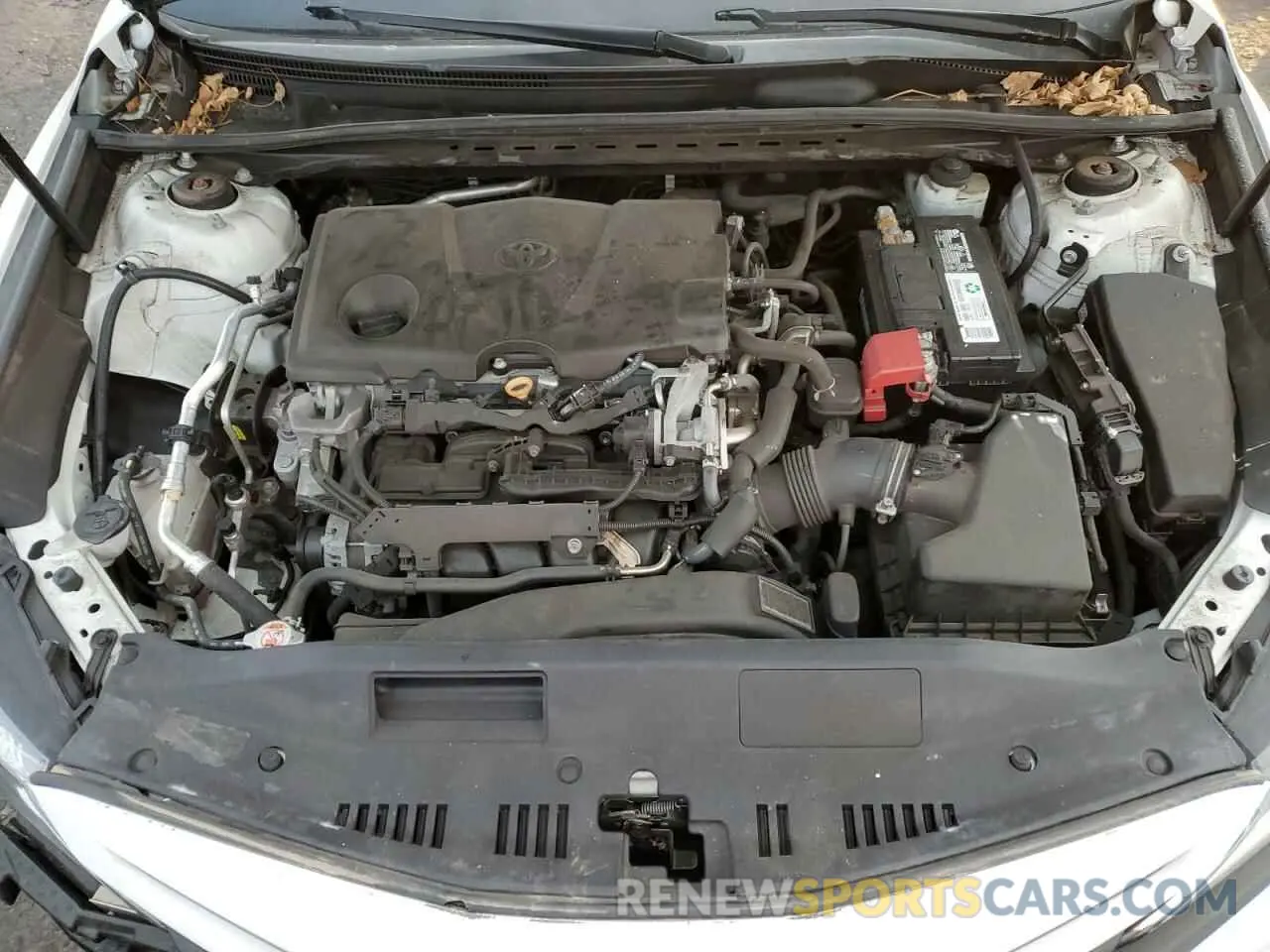 11 fotografías del automóvil dañado 4T1B11HK1KU214732 TOYOTA CAMRY 2019