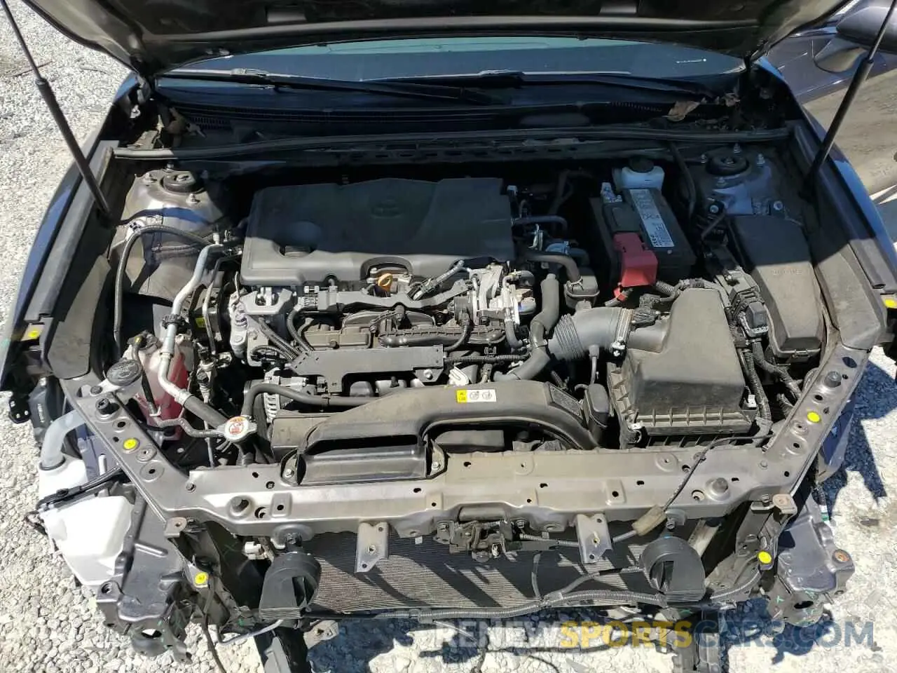 11 fotografías del automóvil dañado 4T1B11HK1KU222927 TOYOTA CAMRY 2019