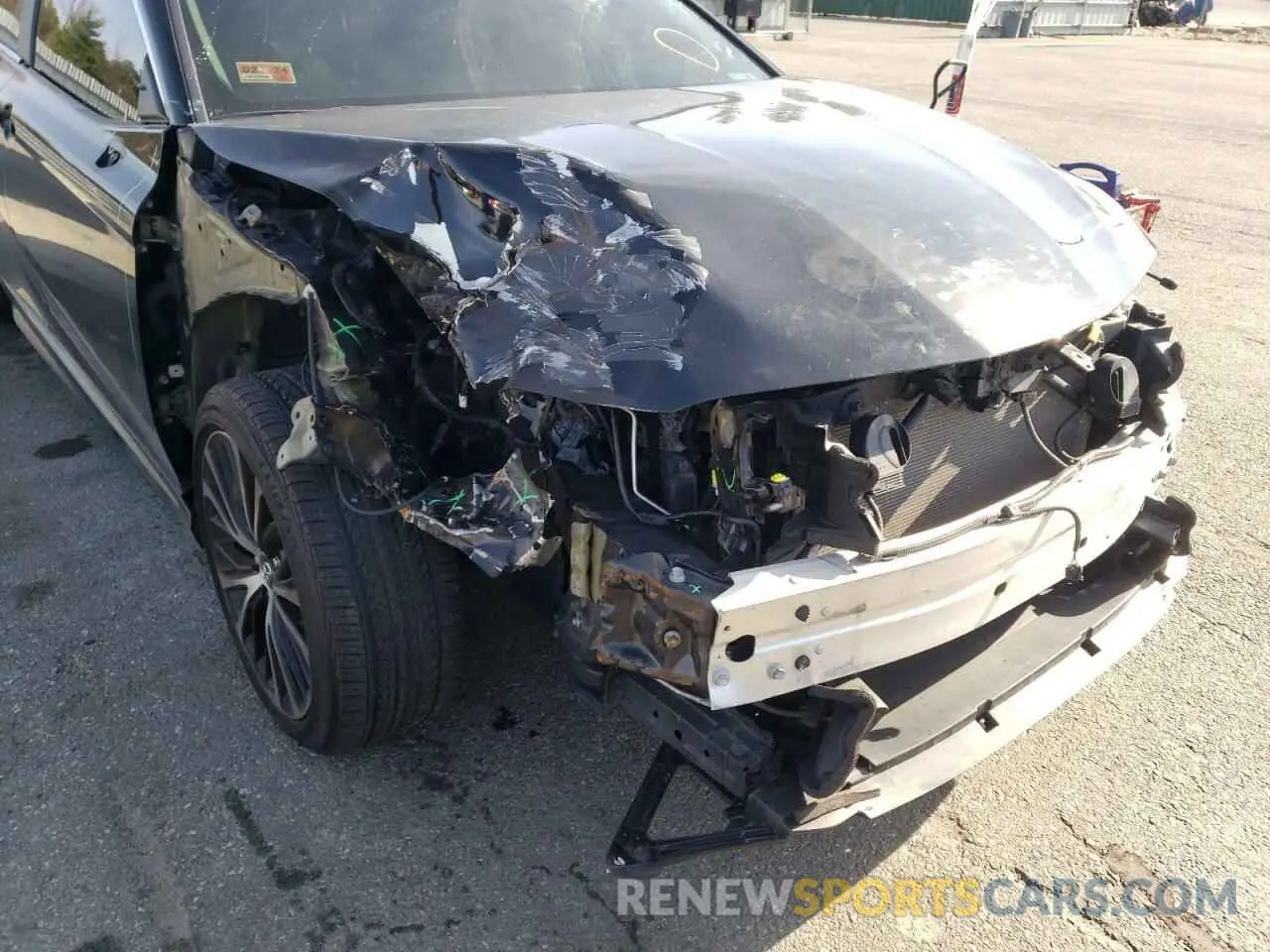 9 fotografías del automóvil dañado 4T1B11HK1KU224824 TOYOTA CAMRY 2019