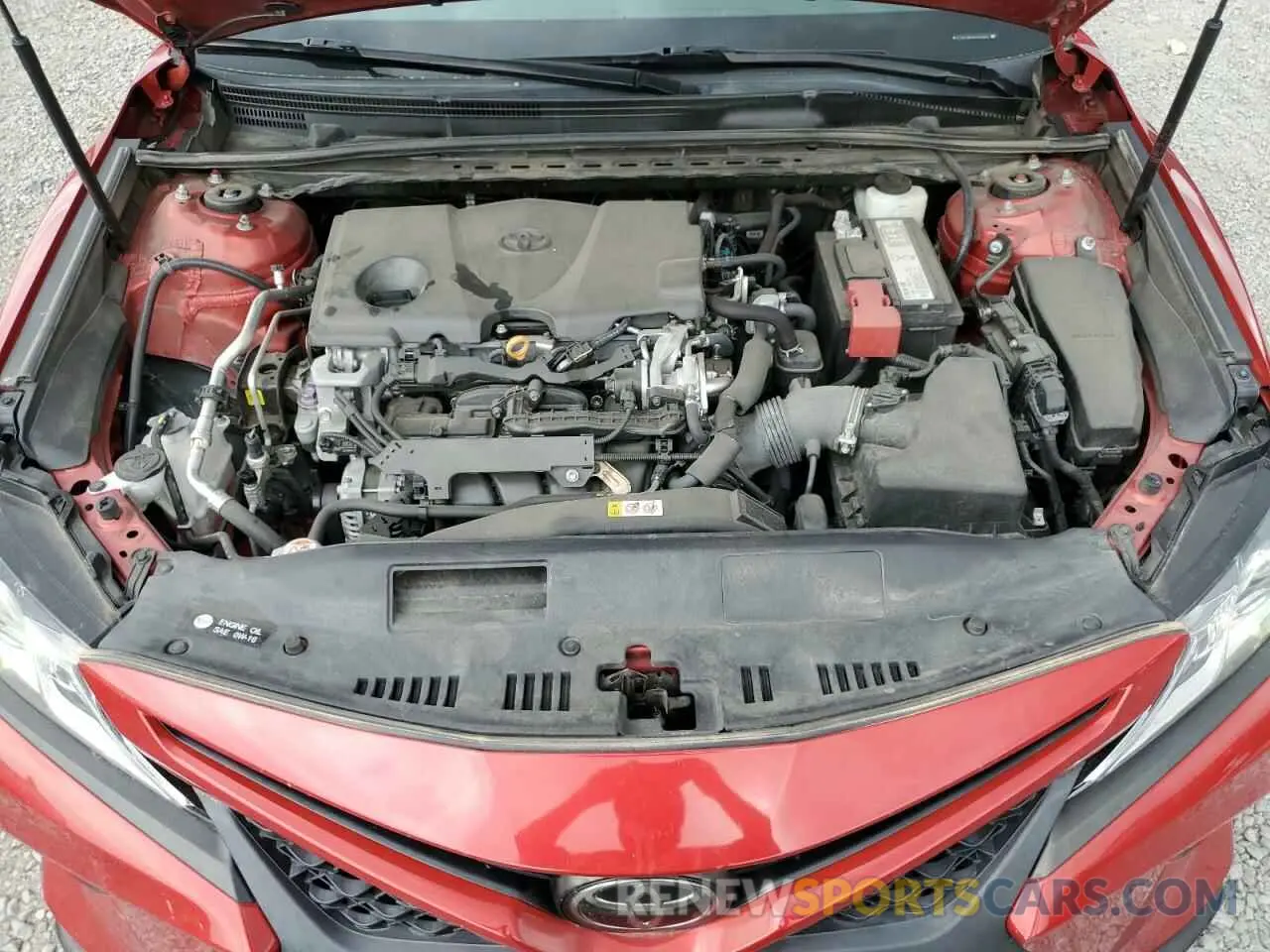 11 fotografías del automóvil dañado 4T1B11HK1KU225553 TOYOTA CAMRY 2019