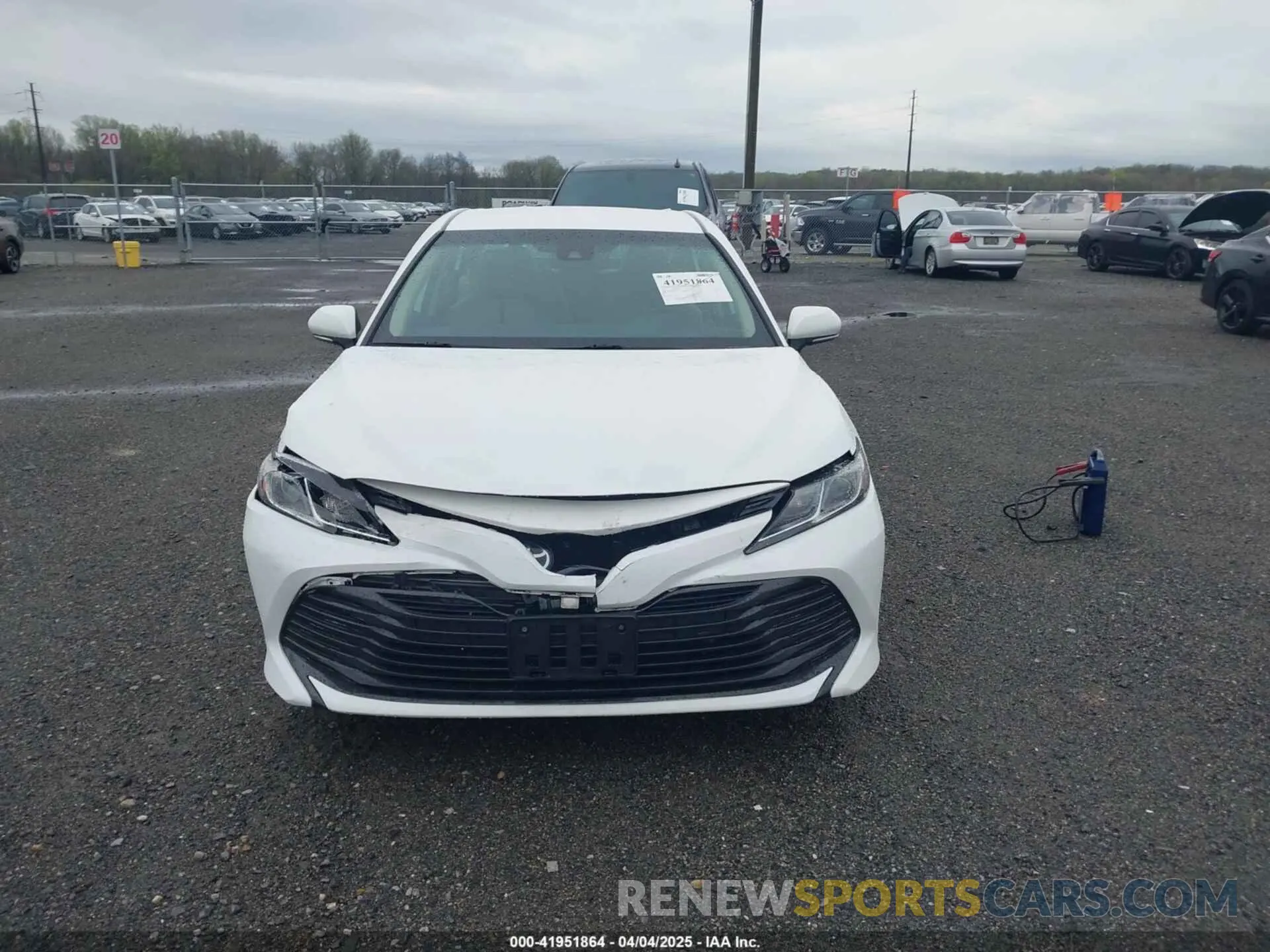 12 fotografías del automóvil dañado 4T1B11HK1KU252879 TOYOTA CAMRY 2019