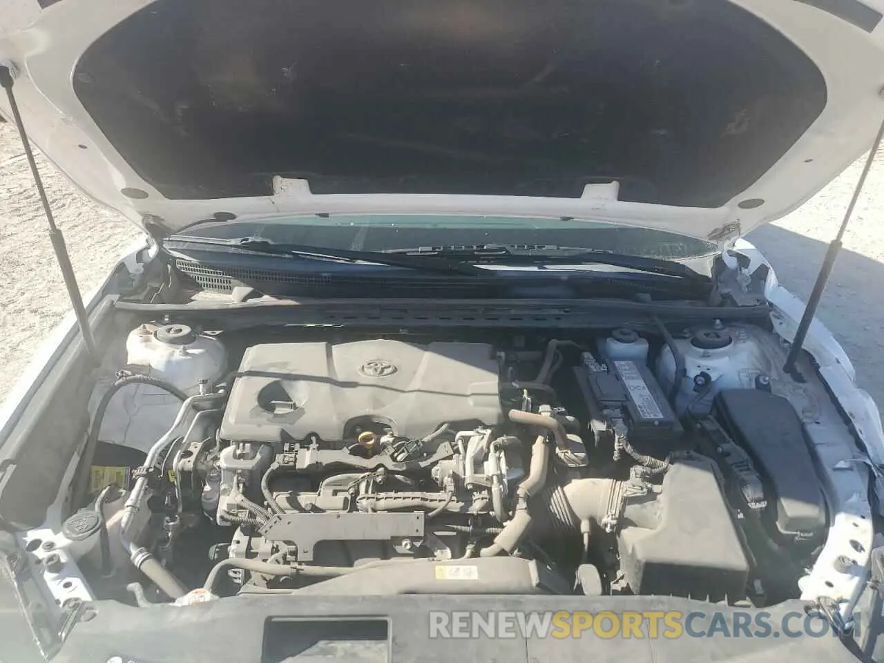 11 fotografías del automóvil dañado 4T1B11HK1KU255765 TOYOTA CAMRY 2019