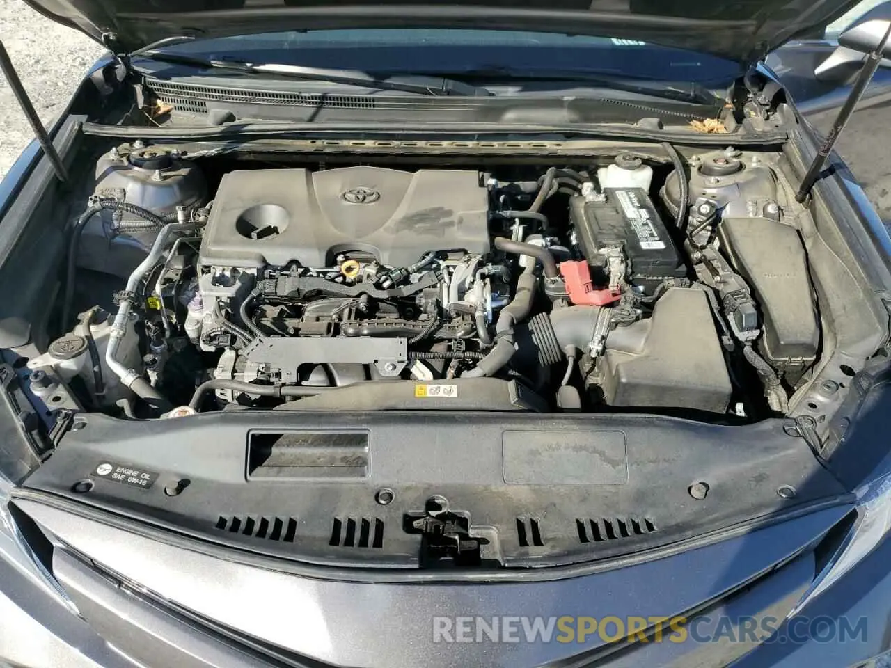 11 fotografías del automóvil dañado 4T1B11HK1KU266040 TOYOTA CAMRY 2019