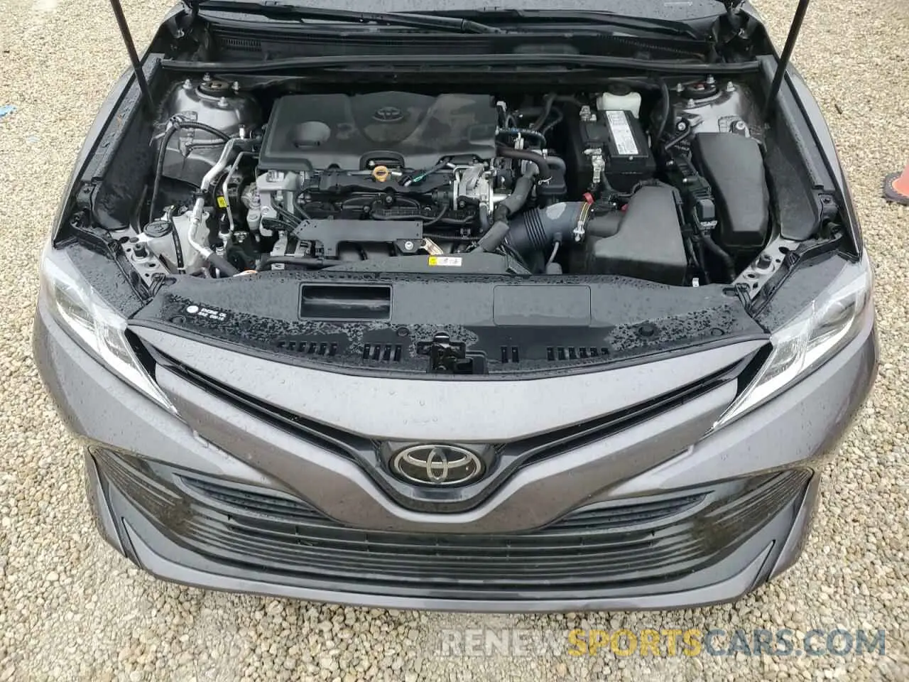 11 fotografías del automóvil dañado 4T1B11HK1KU268208 TOYOTA CAMRY 2019