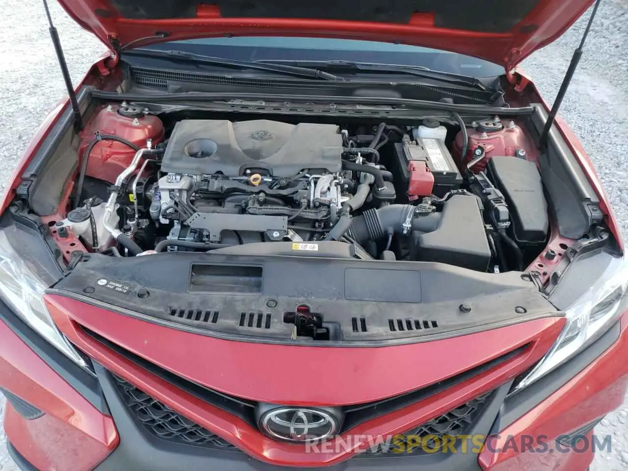 7 fotografías del automóvil dañado 4T1B11HK1KU293819 TOYOTA CAMRY 2019