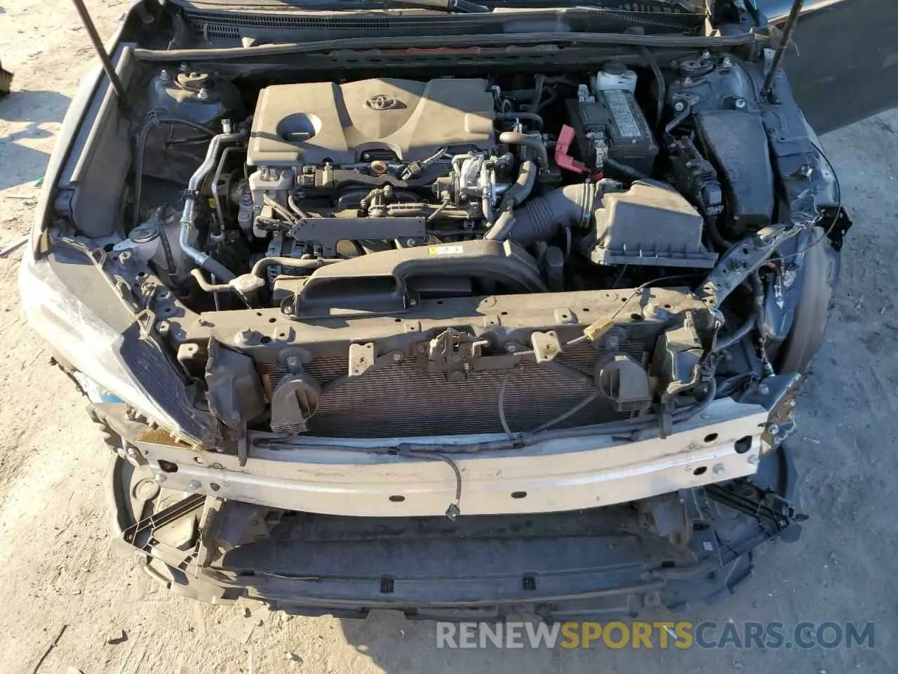 11 fotografías del automóvil dañado 4T1B11HK1KU684856 TOYOTA CAMRY 2019