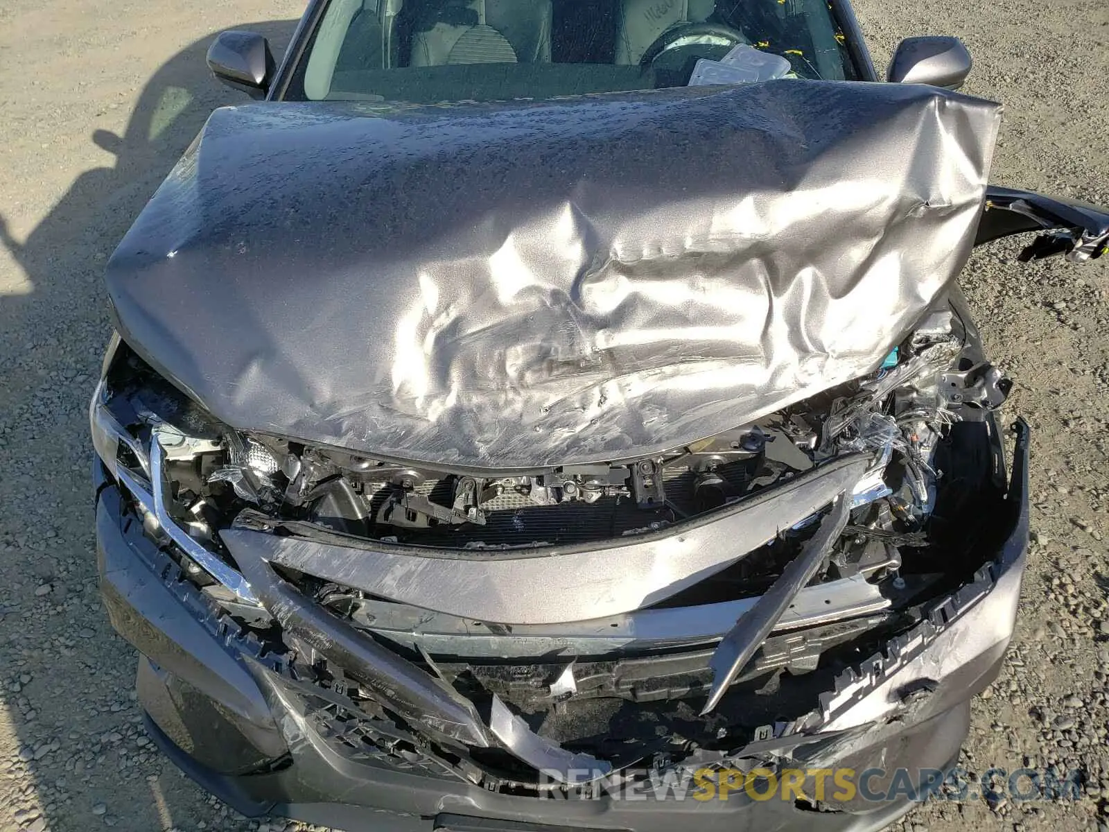 7 fotografías del automóvil dañado 4T1B11HK1KU691791 TOYOTA CAMRY 2019