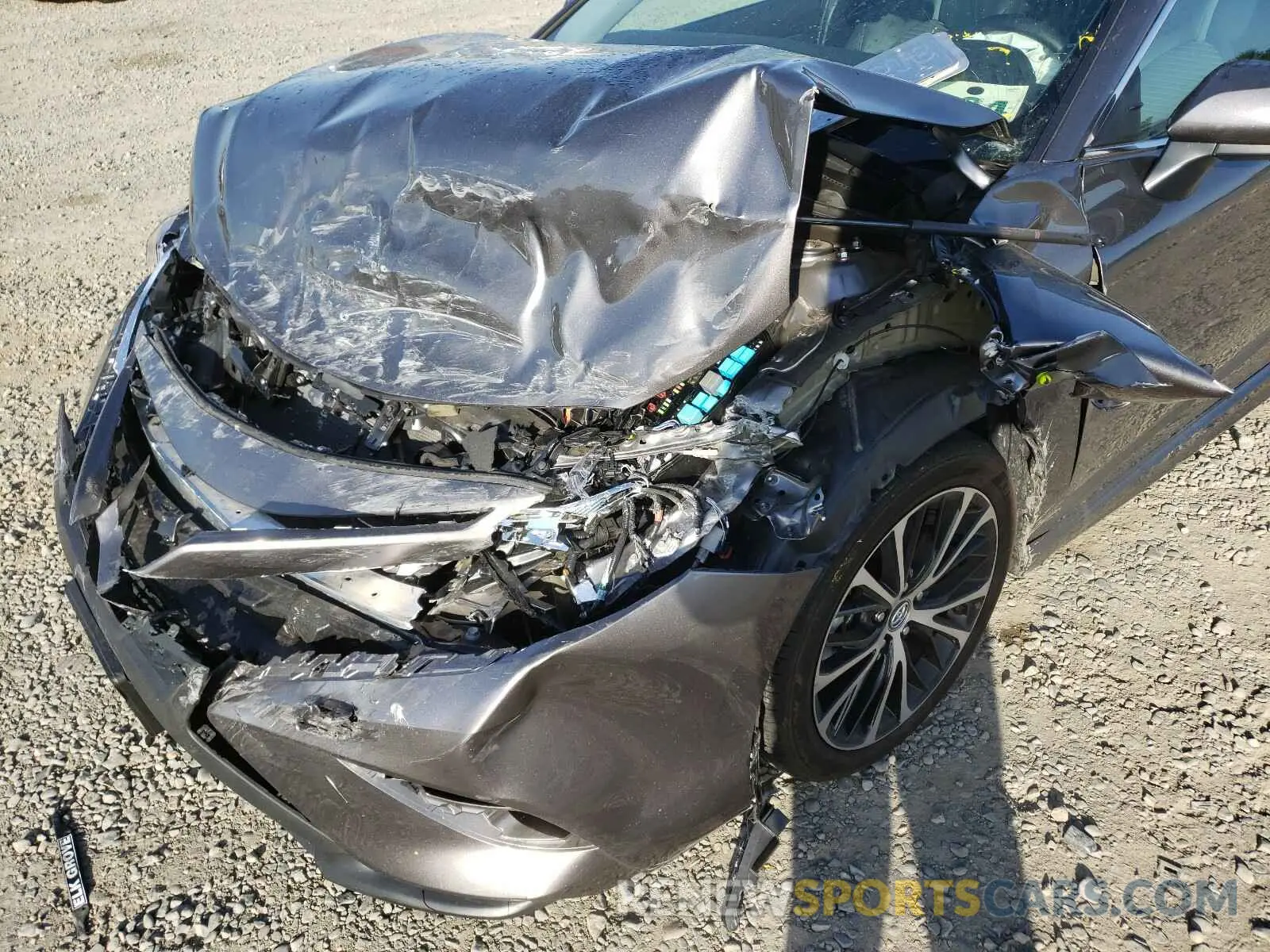 9 fotografías del automóvil dañado 4T1B11HK1KU691791 TOYOTA CAMRY 2019