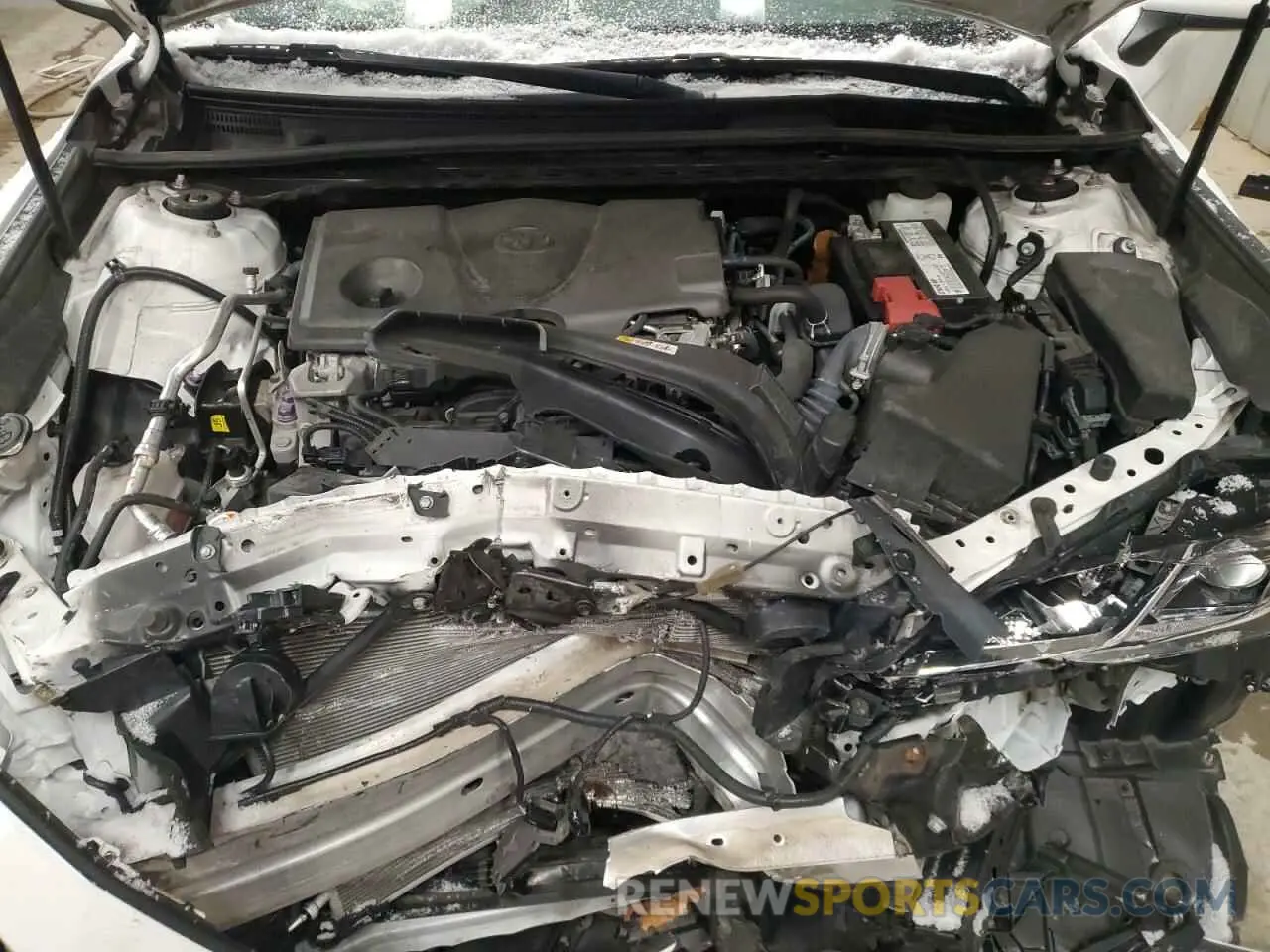 11 fotografías del automóvil dañado 4T1B11HK1KU693198 TOYOTA CAMRY 2019