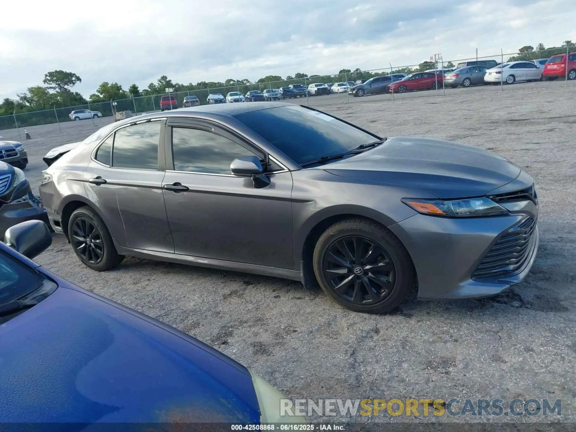 14 fotografías del automóvil dañado 4T1B11HK1KU697803 TOYOTA CAMRY 2019