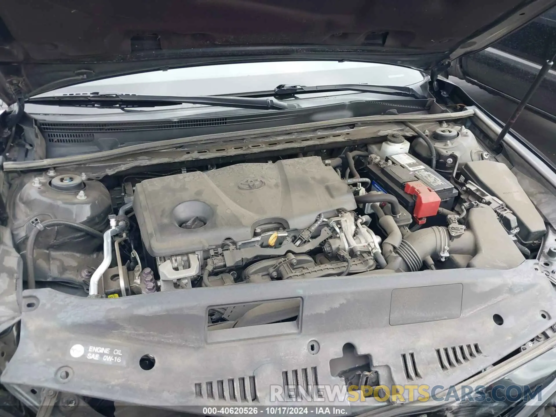 10 fotografías del automóvil dañado 4T1B11HK1KU704281 TOYOTA CAMRY 2019