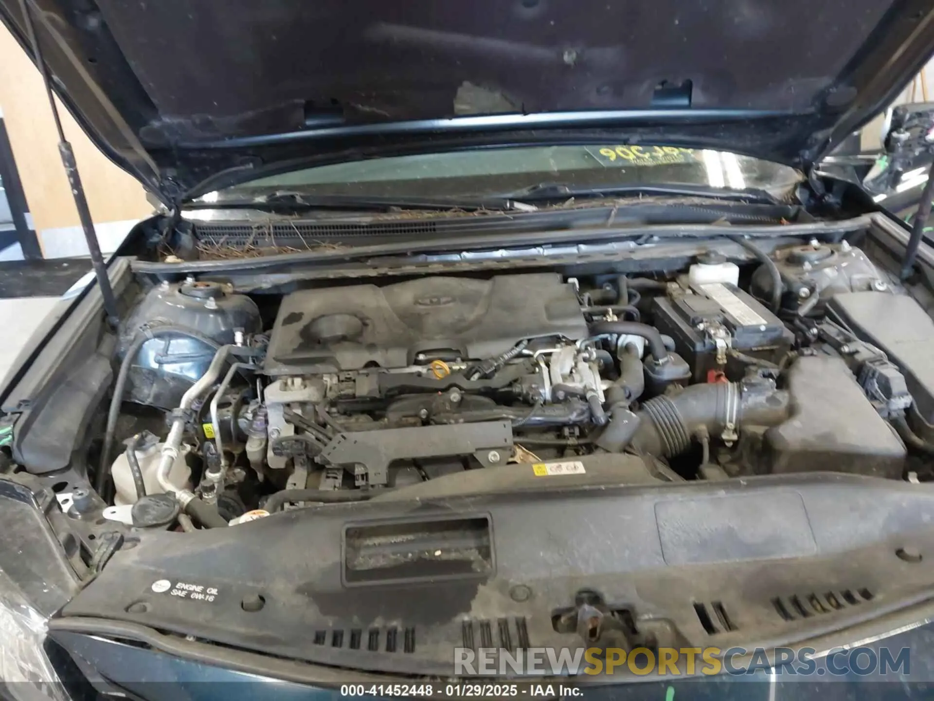 10 fotografías del automóvil dañado 4T1B11HK1KU704524 TOYOTA CAMRY 2019
