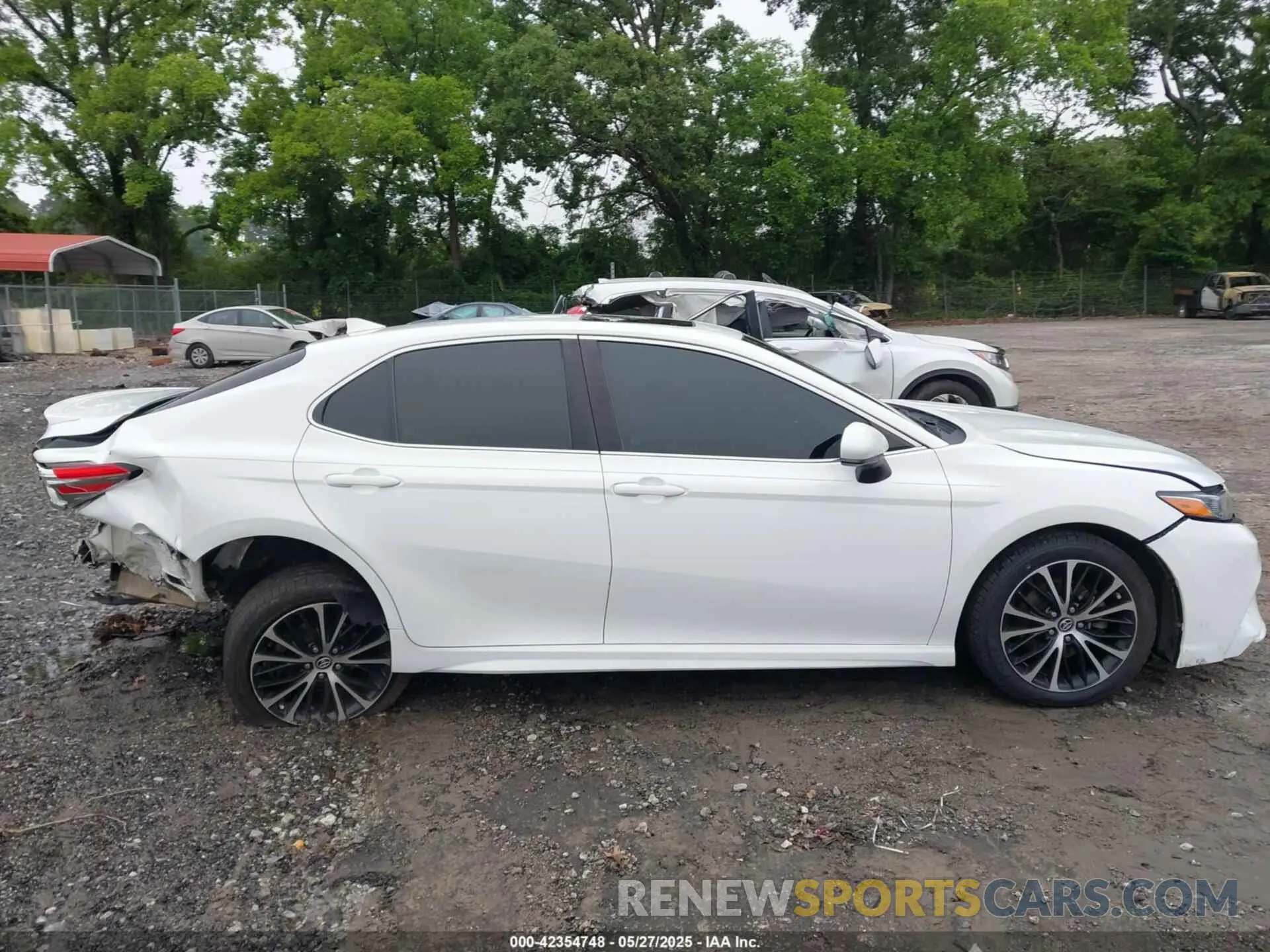 13 fotografías del automóvil dañado 4T1B11HK1KU716592 TOYOTA CAMRY 2019