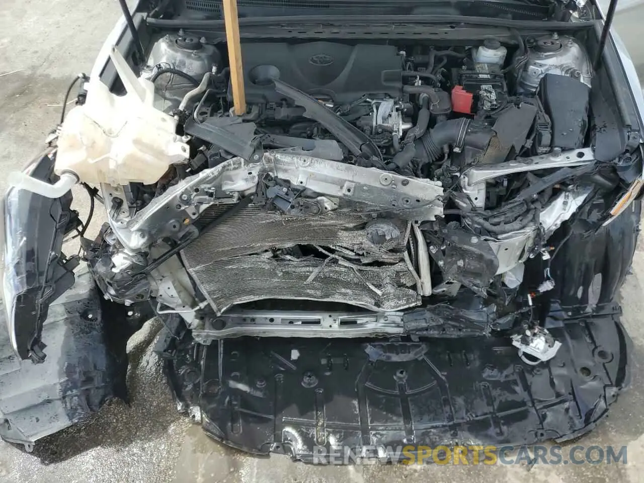 11 fotografías del automóvil dañado 4T1B11HK1KU718150 TOYOTA CAMRY 2019