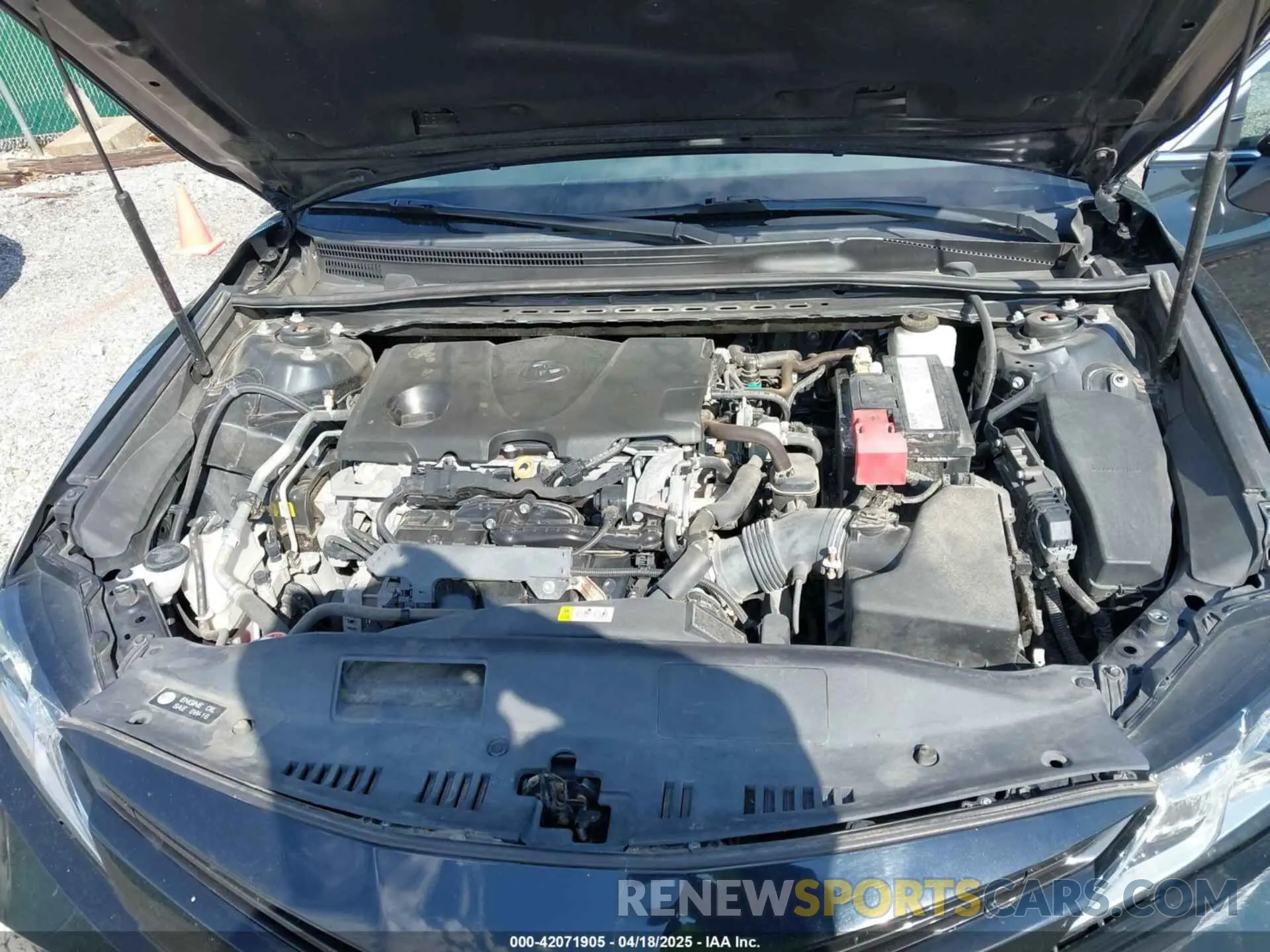 10 fotografías del automóvil dañado 4T1B11HK1KU718374 TOYOTA CAMRY 2019