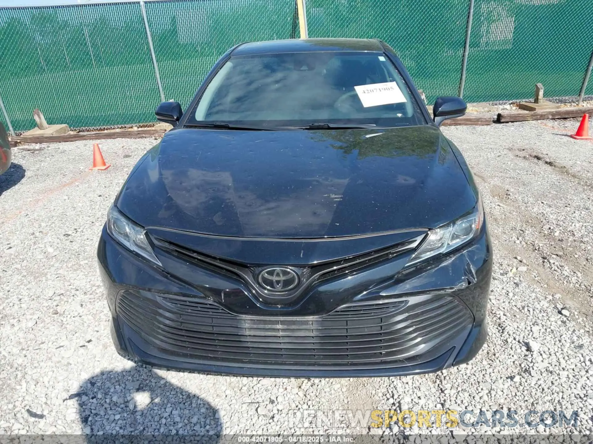 12 fotografías del automóvil dañado 4T1B11HK1KU718374 TOYOTA CAMRY 2019