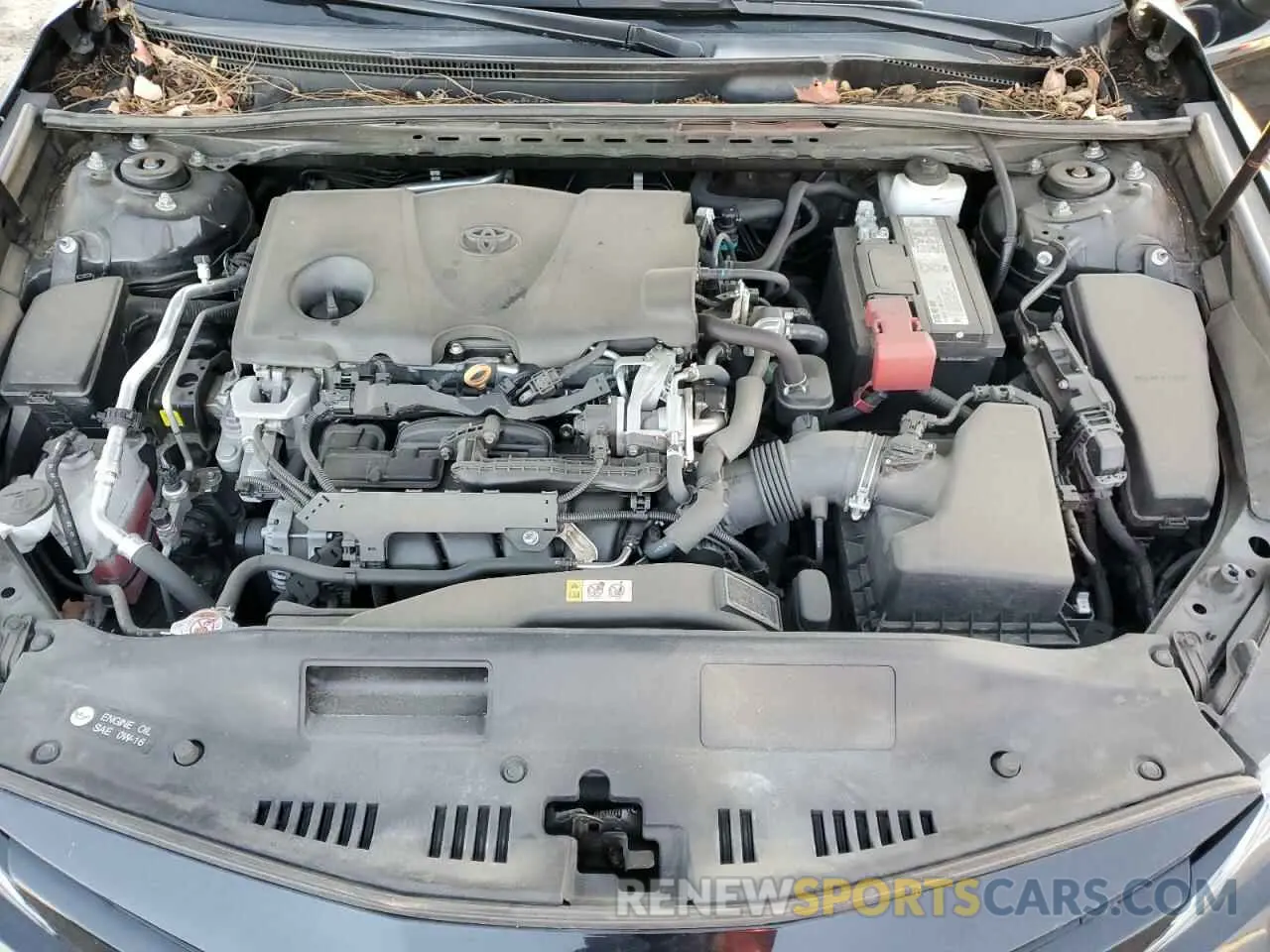 13 fotografías del automóvil dañado 4T1B11HK1KU728774 TOYOTA CAMRY 2019
