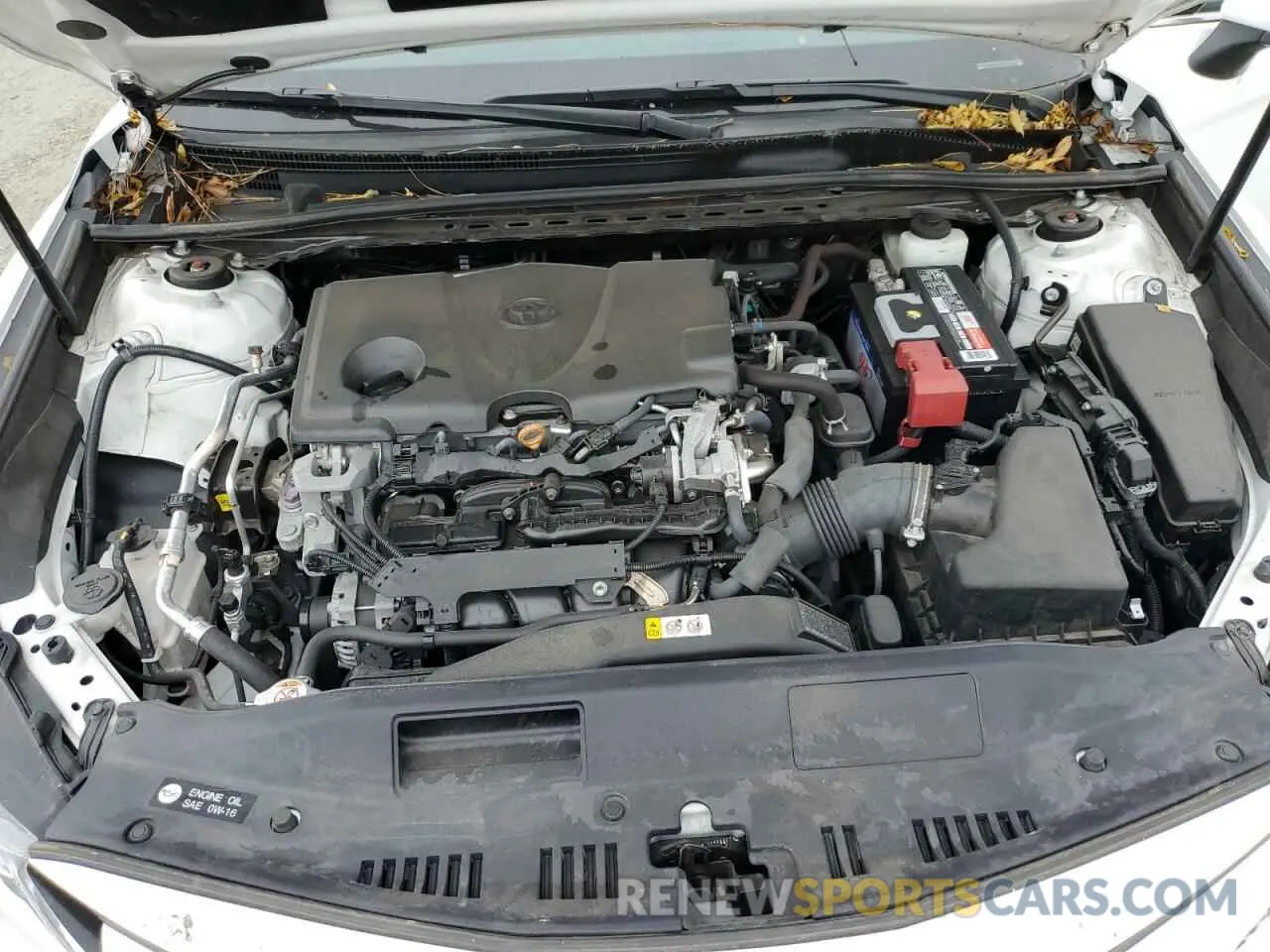 11 fotografías del automóvil dañado 4T1B11HK1KU780776 TOYOTA CAMRY 2019