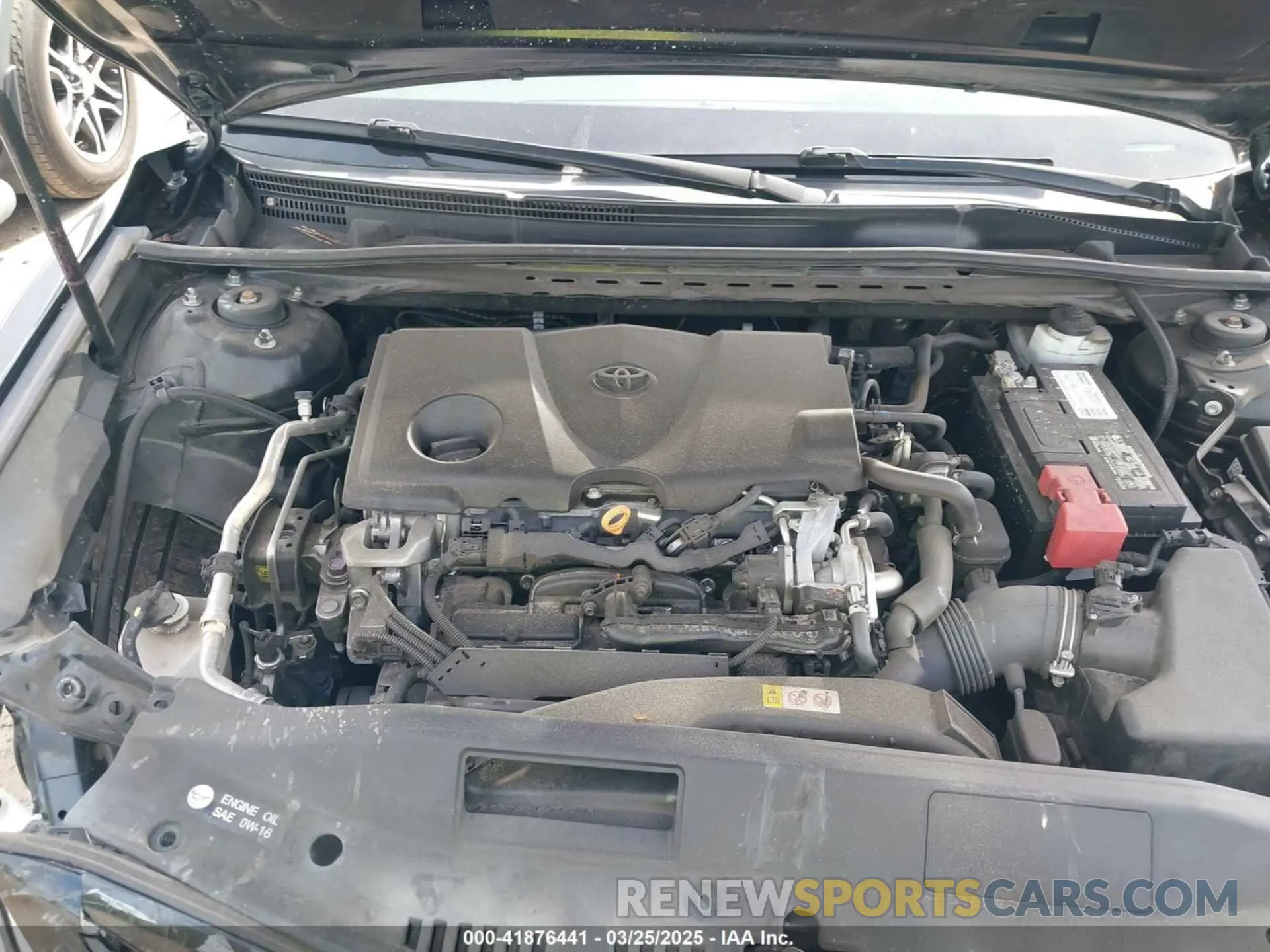 10 fotografías del automóvil dañado 4T1B11HK1KU795035 TOYOTA CAMRY 2019